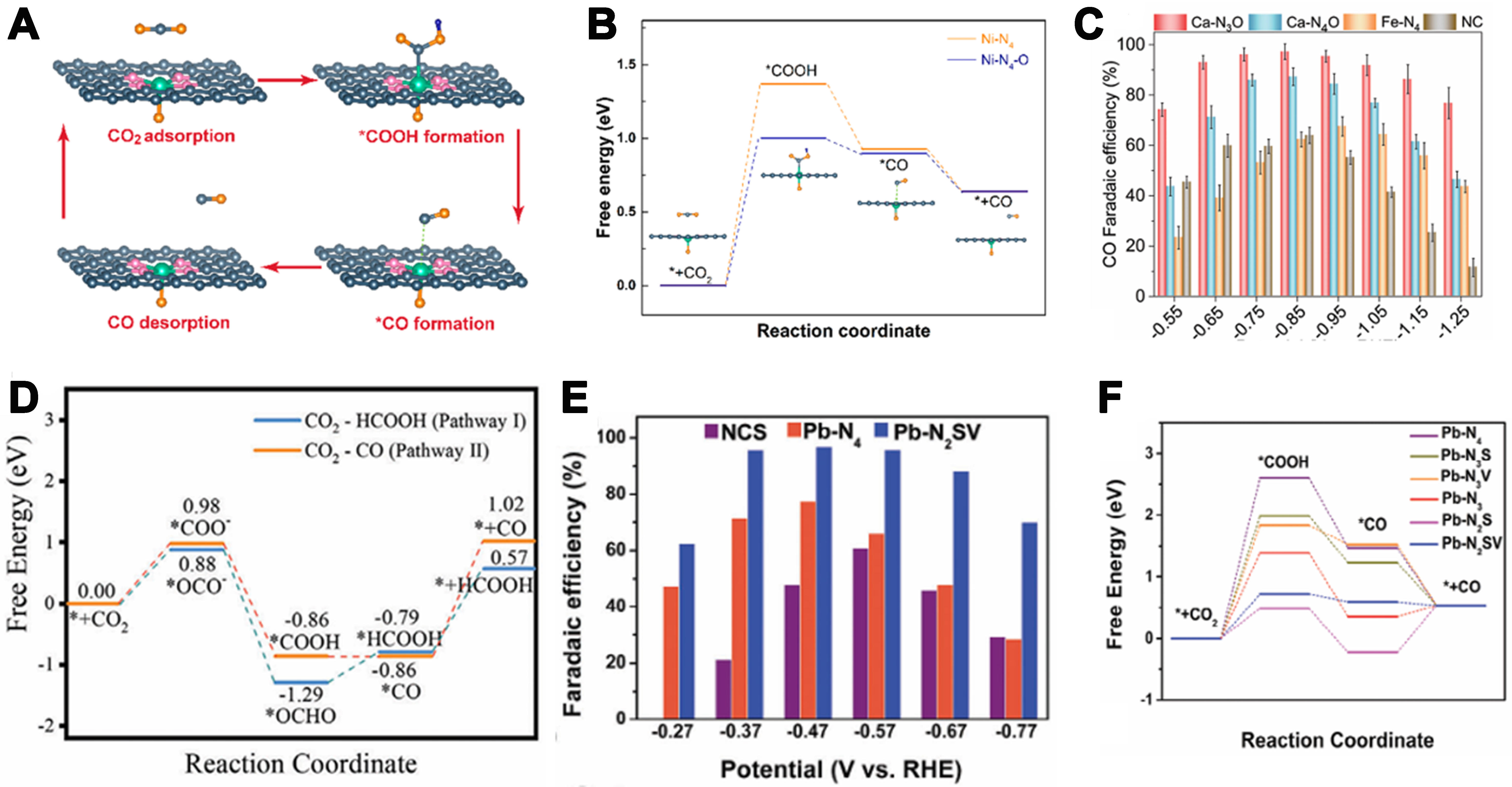 Asymmetrically coordinated single-atom catalysts: from synthetic strategy to structure-activity relationship