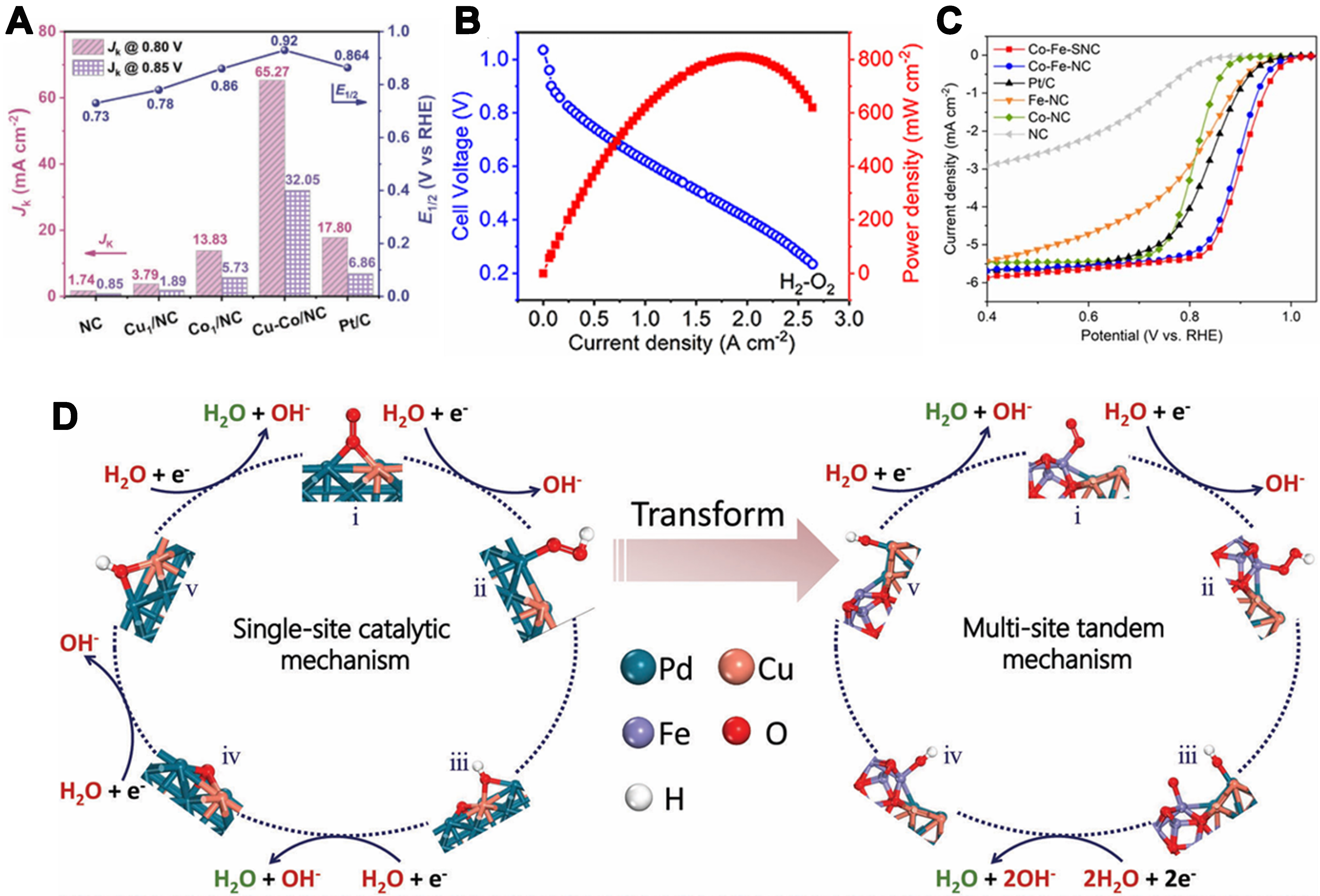 Asymmetrically coordinated single-atom catalysts: from synthetic strategy to structure-activity relationship