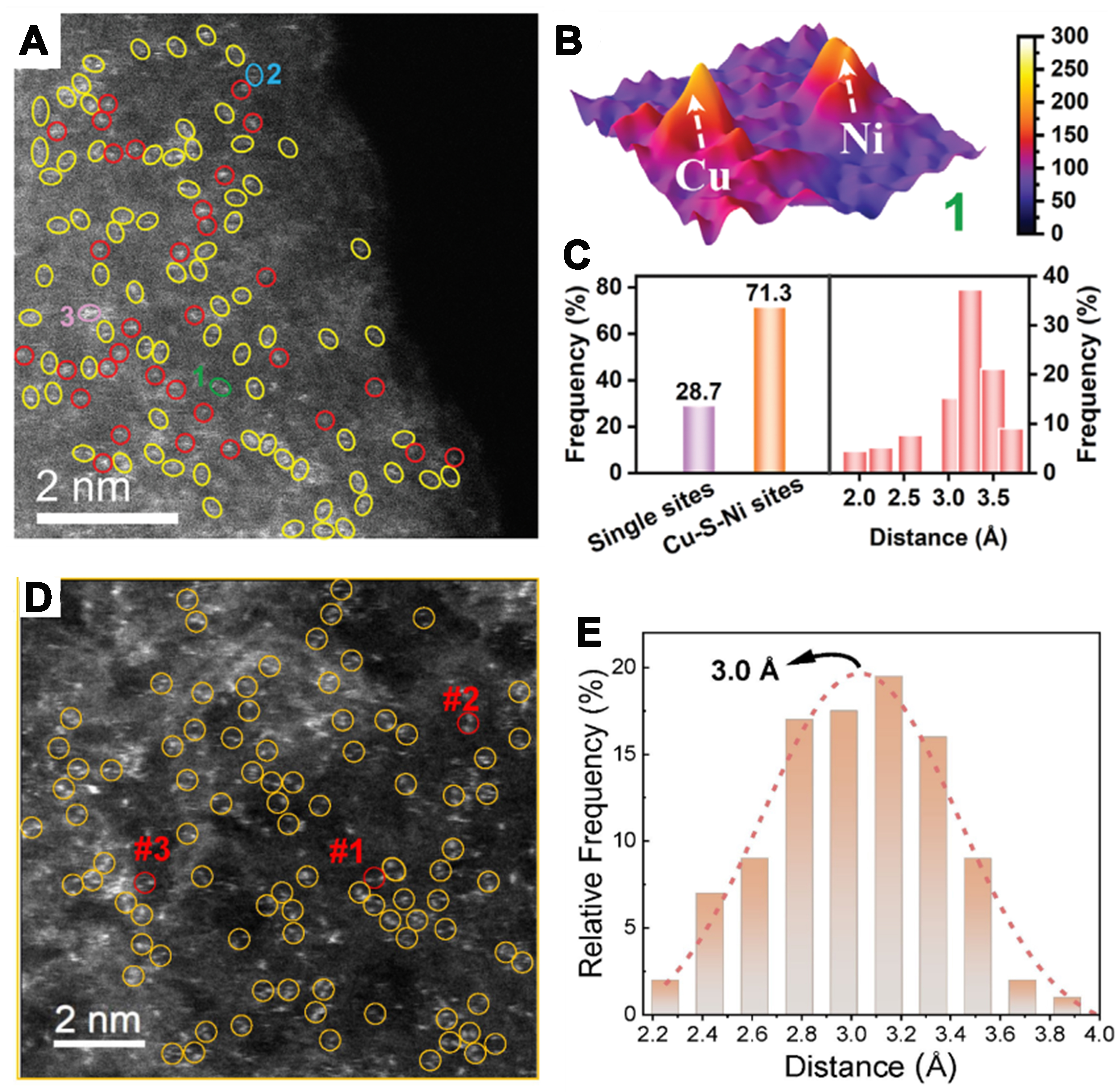 Asymmetrically coordinated single-atom catalysts: from synthetic strategy to structure-activity relationship