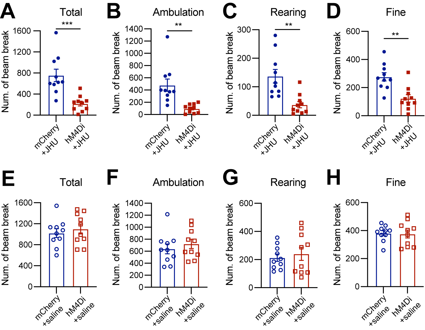 Subtype-specific roles of nigrostriatal dopaminergic neurons in motor and associative learning