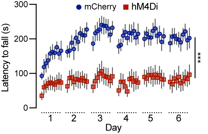 Subtype-specific roles of nigrostriatal dopaminergic neurons in motor and associative learning