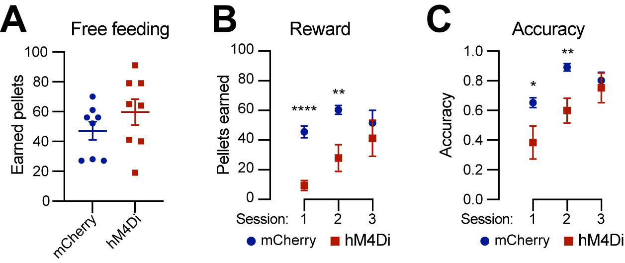 Subtype-specific roles of nigrostriatal dopaminergic neurons in motor and associative learning