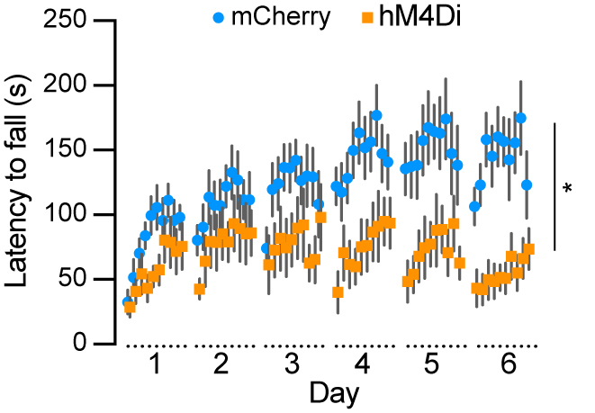 Subtype-specific roles of nigrostriatal dopaminergic neurons in motor and associative learning