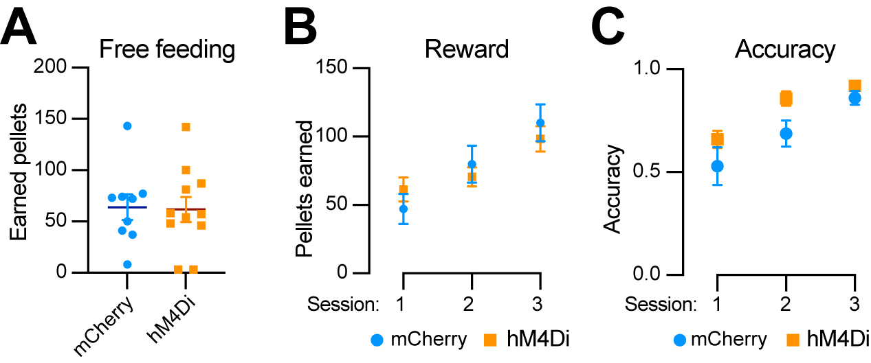 Subtype-specific roles of nigrostriatal dopaminergic neurons in motor and associative learning