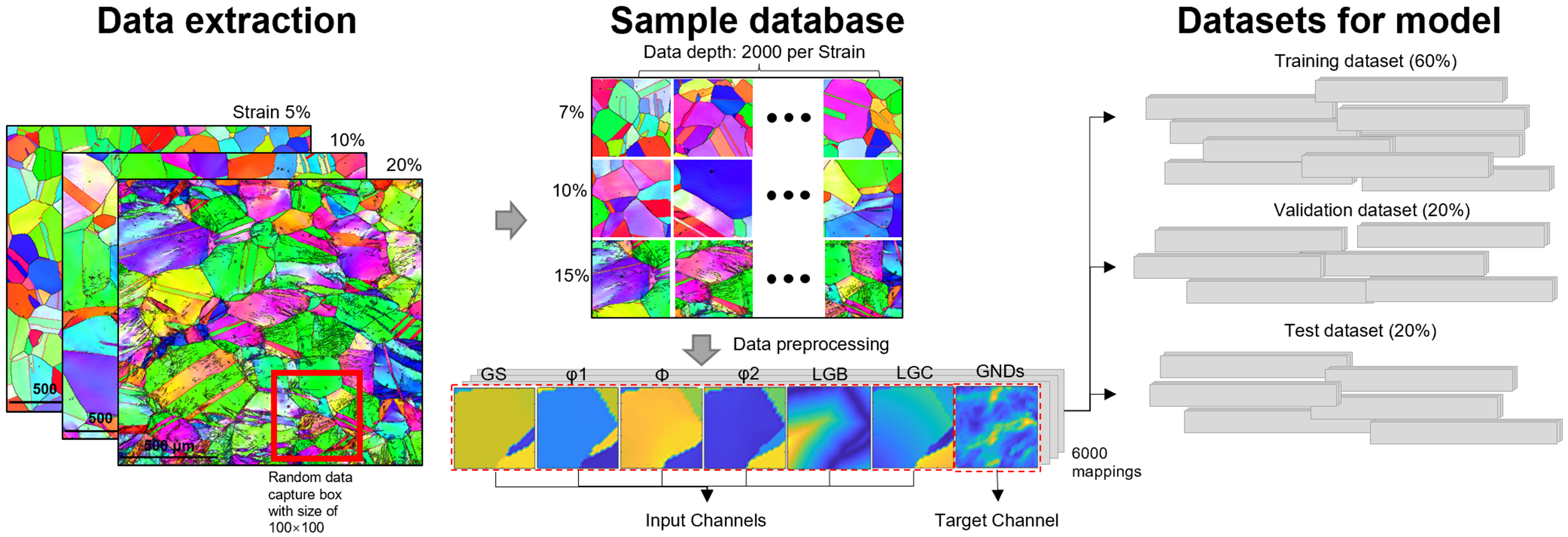 Deep learning-enhanced cellular automaton framework for modeling static recrystallization behavior