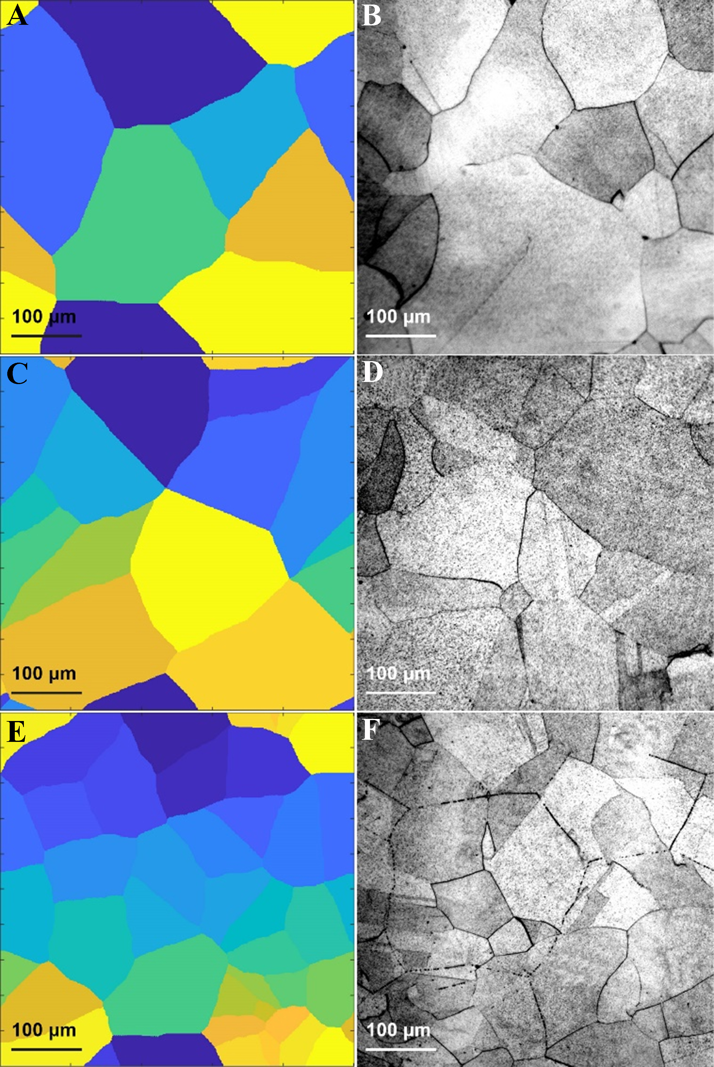 Deep learning-enhanced cellular automaton framework for modeling static recrystallization behavior
