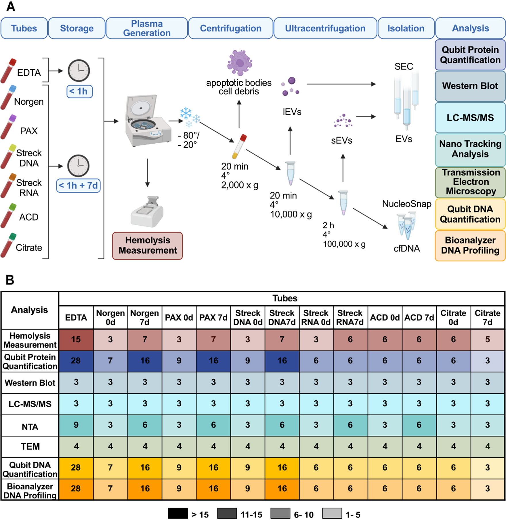Preanalytical framework for routine clinical use of liquid biopsies: combining EVs and cfDNA