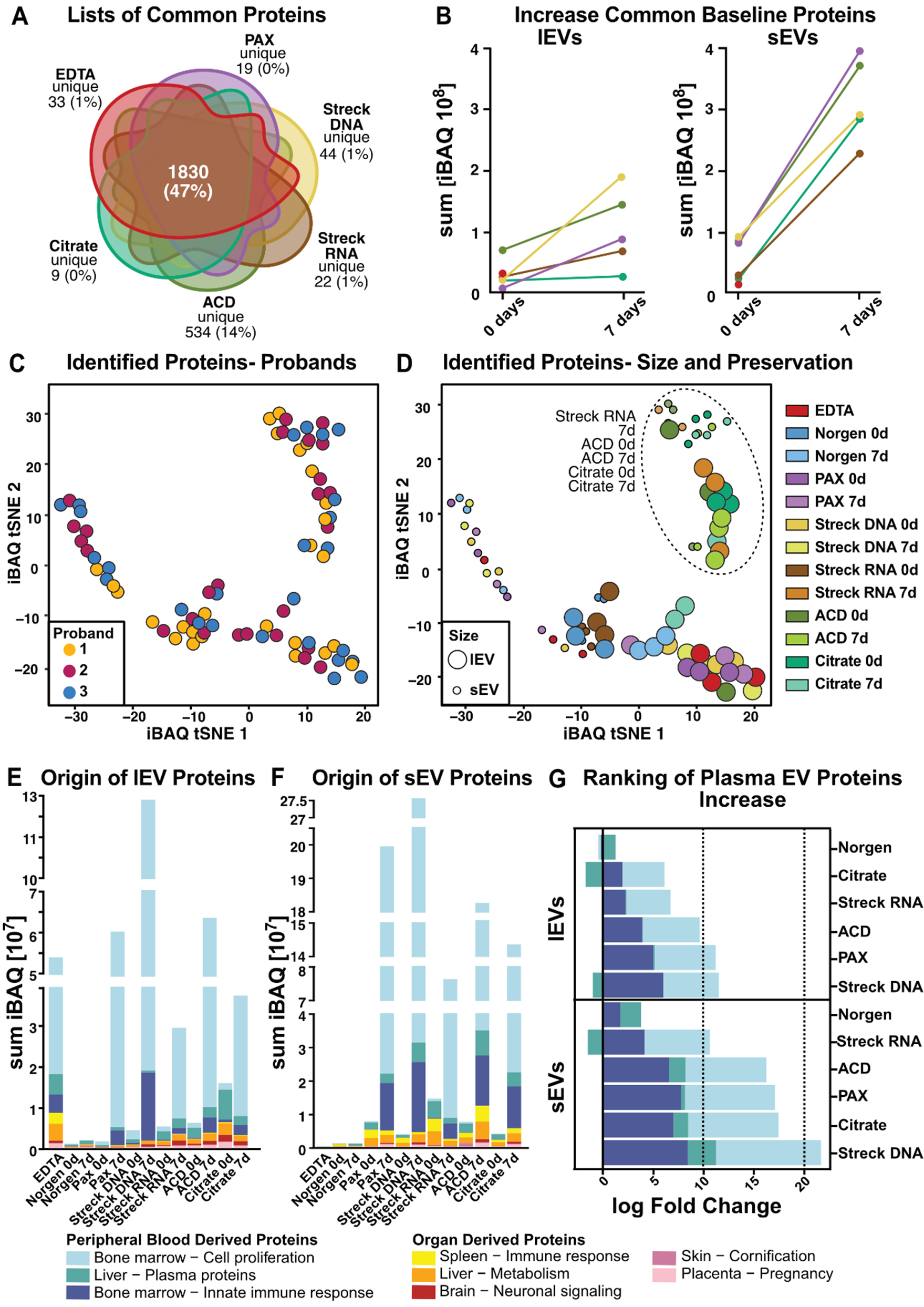 Preanalytical framework for routine clinical use of liquid biopsies: combining EVs and cfDNA