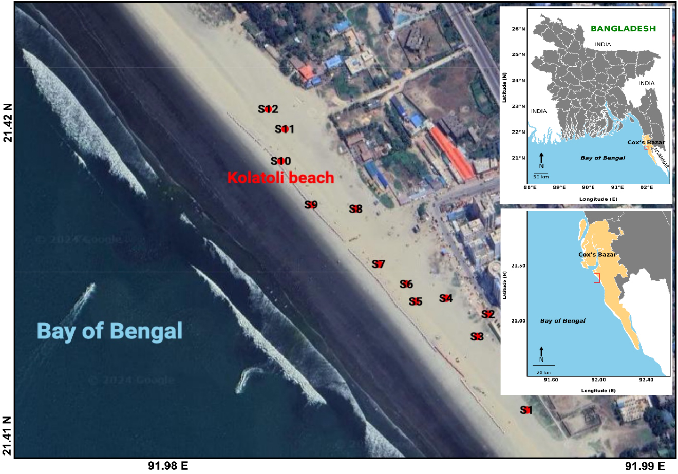 A case study on heavy metal contamination and sediment texture at Kolatoli Beach, Cox’s Bazar, Bangladesh: implications for ecological and human health risks