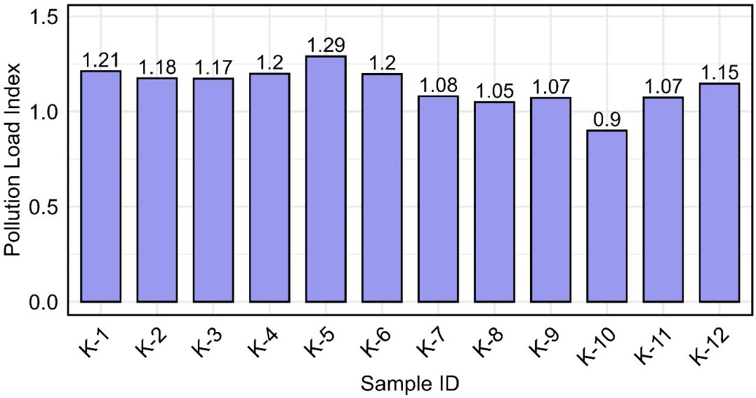 A case study on heavy metal contamination and sediment texture at Kolatoli Beach, Cox’s Bazar, Bangladesh: implications for ecological and human health risks