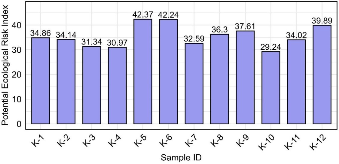 A case study on heavy metal contamination and sediment texture at Kolatoli Beach, Cox’s Bazar, Bangladesh: implications for ecological and human health risks