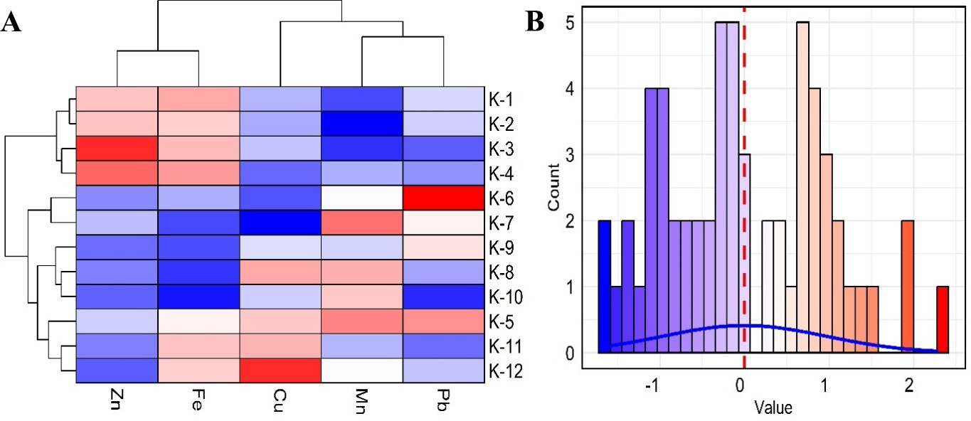 A case study on heavy metal contamination and sediment texture at Kolatoli Beach, Cox’s Bazar, Bangladesh: implications for ecological and human health risks