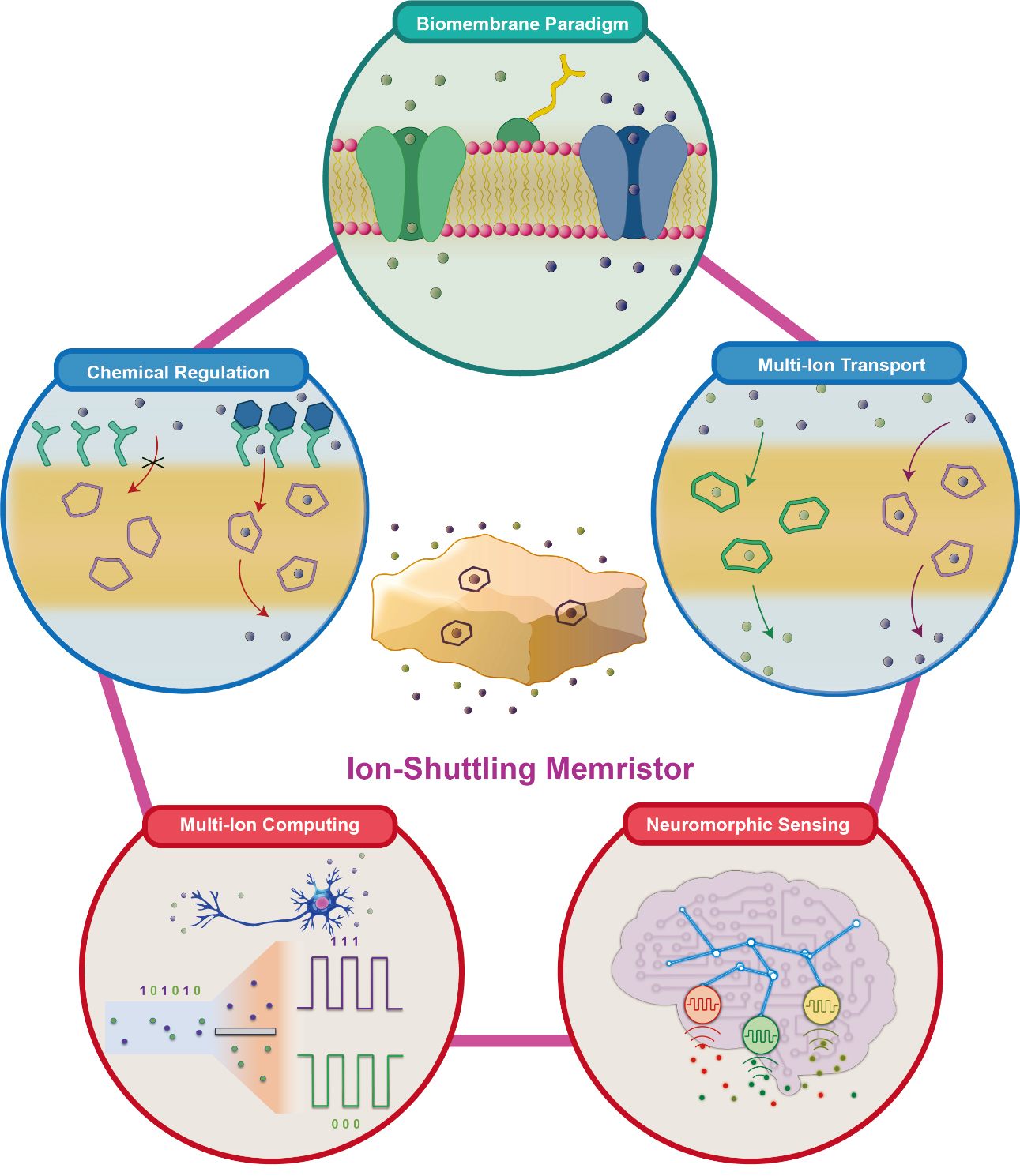 Ion-shuttling memristor: towards ionic computing and neuromorphic sensing