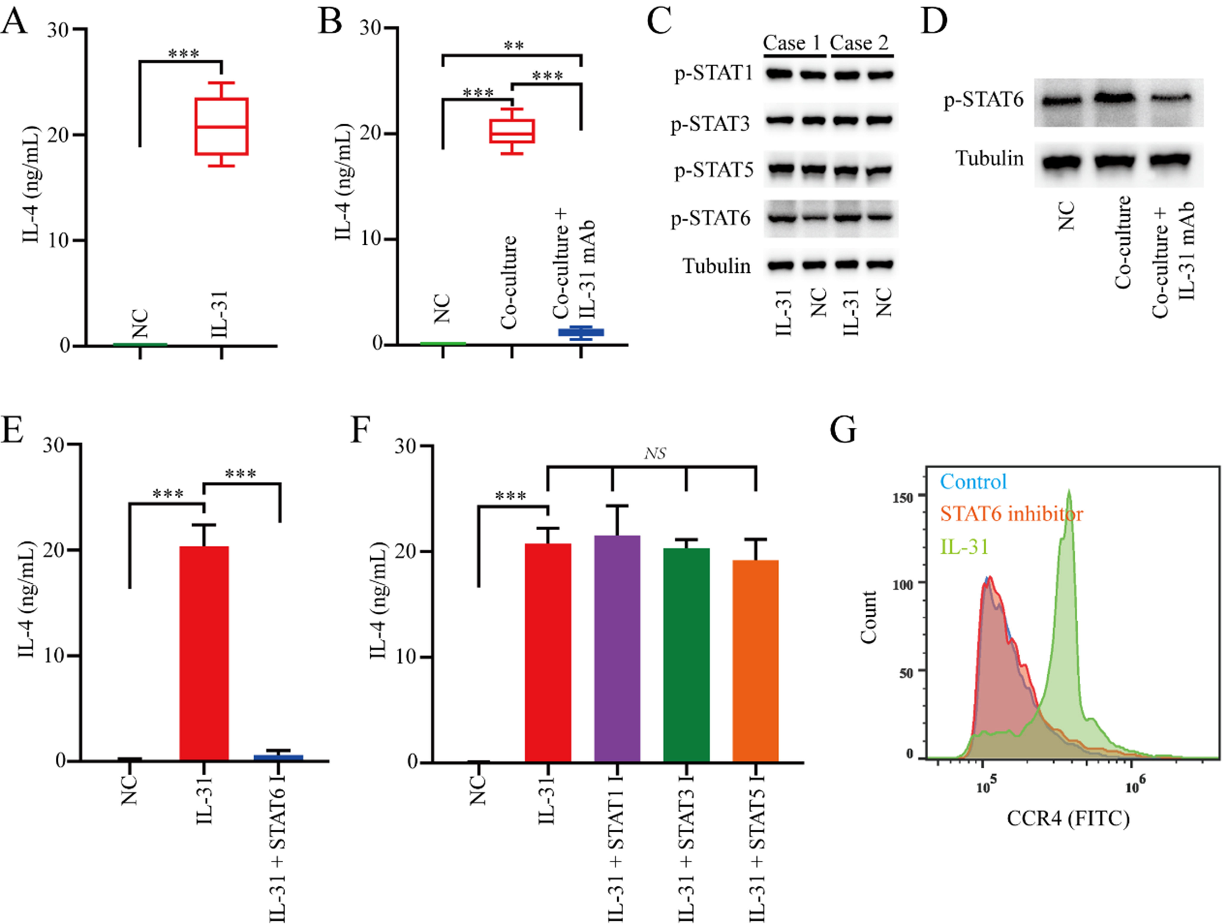 Effects of FAP<sup>+</sup> cancer-associated fibroblasts on anti-PD-1 immunotherapy and CD4<sup>+</sup> T cell polarization in gastric cancer