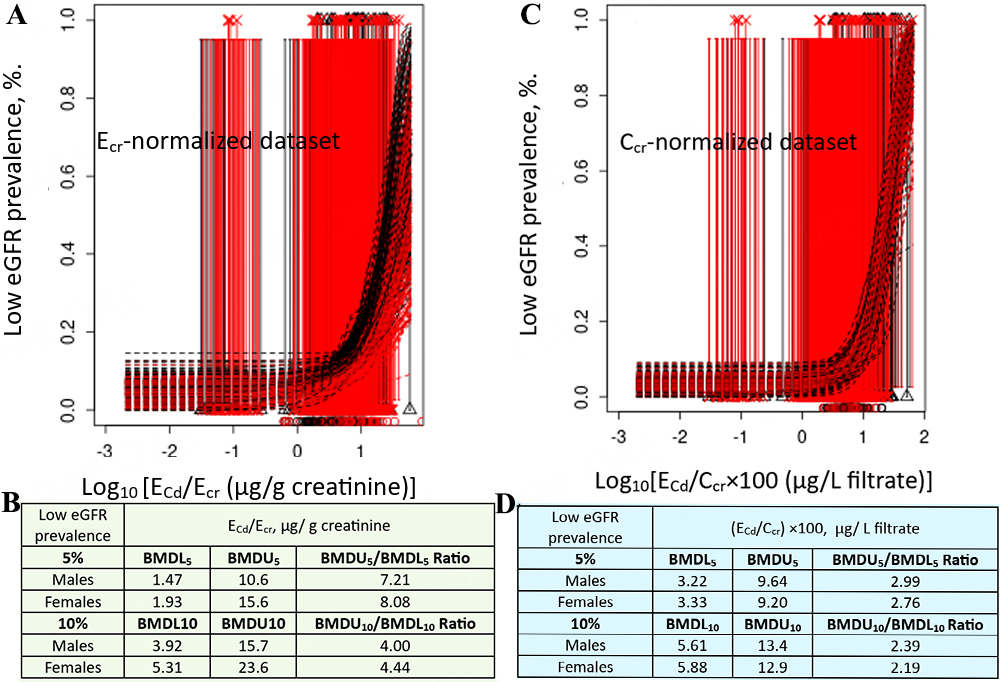 Benchmark dose modeling to define permissible exposure levels for environmental cadmium