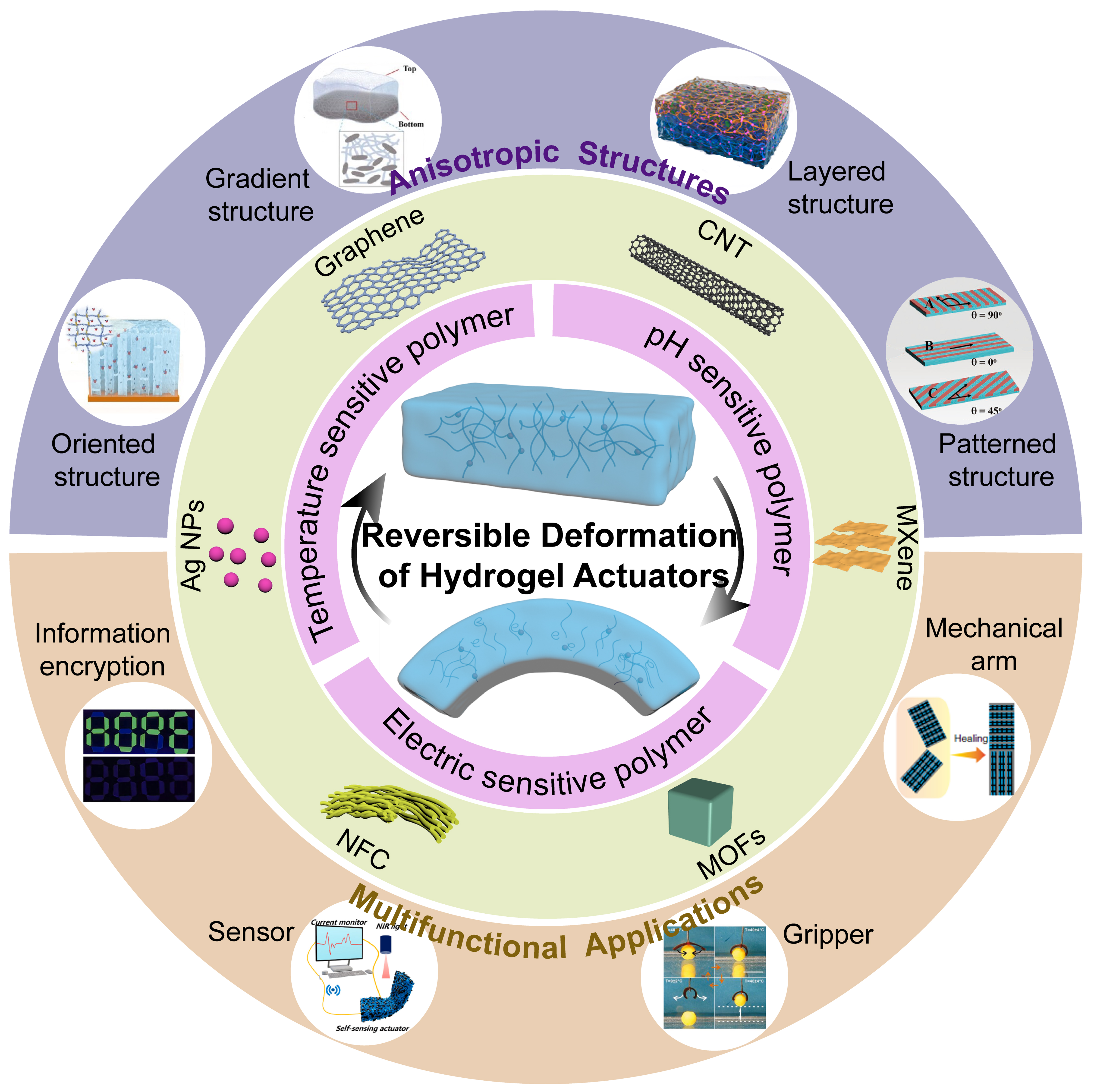 Hydrogel actuators: from building blocks selection, anisotropic structures design to multifunctional applications