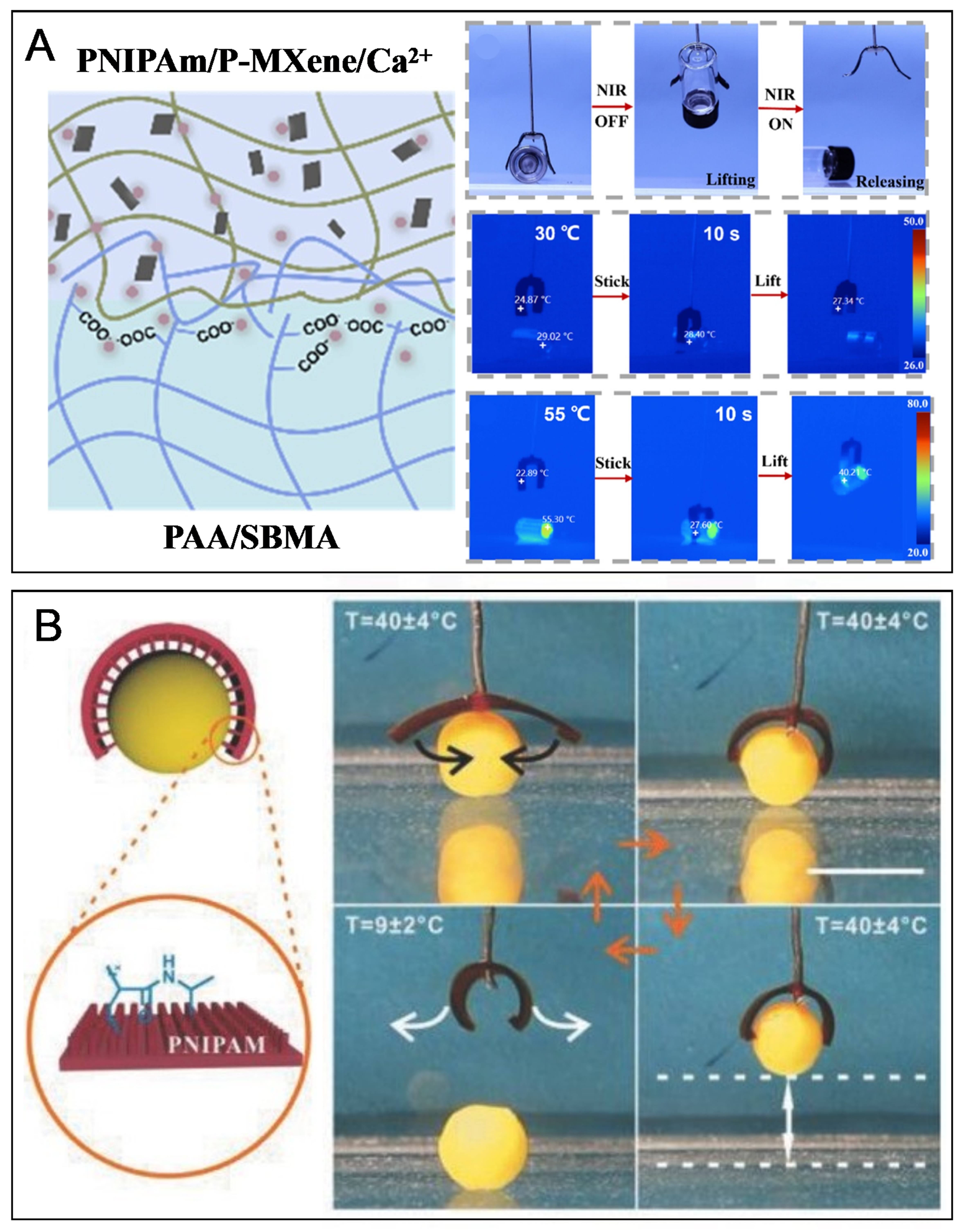 Hydrogel actuators: from building blocks selection, anisotropic structures design to multifunctional applications
