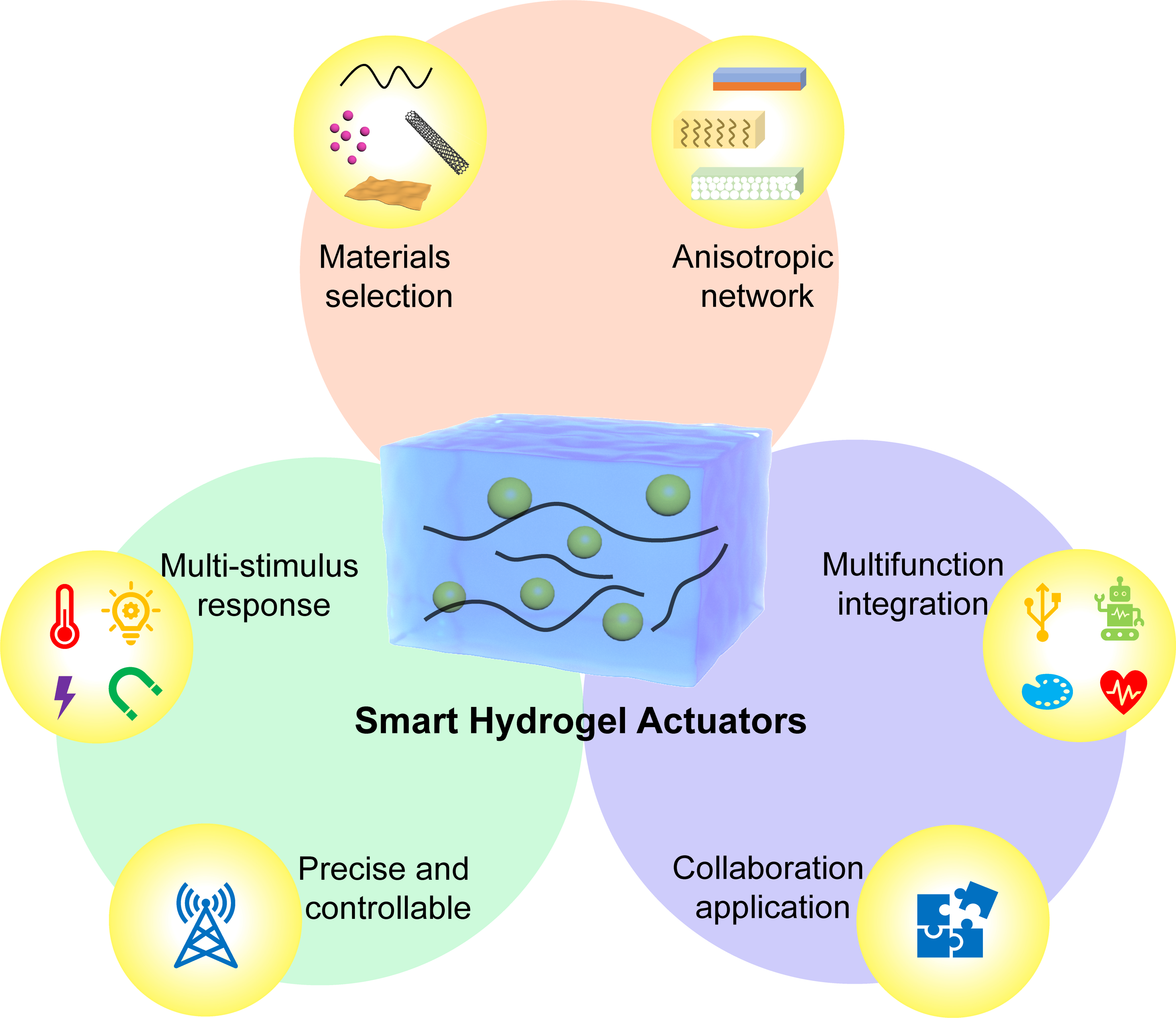 Hydrogel actuators: from building blocks selection, anisotropic structures design to multifunctional applications