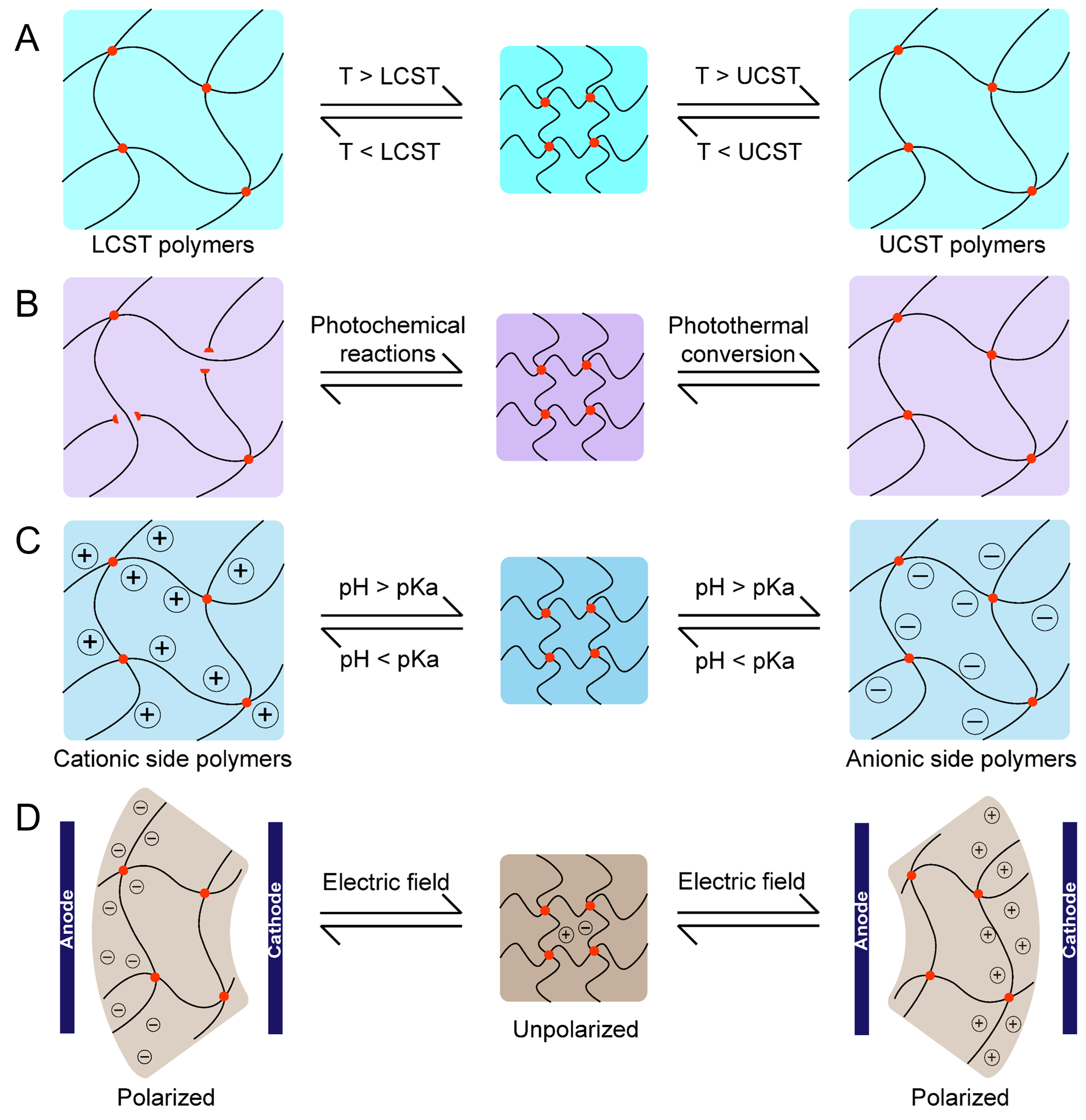 Hydrogel actuators: from building blocks selection, anisotropic structures design to multifunctional applications