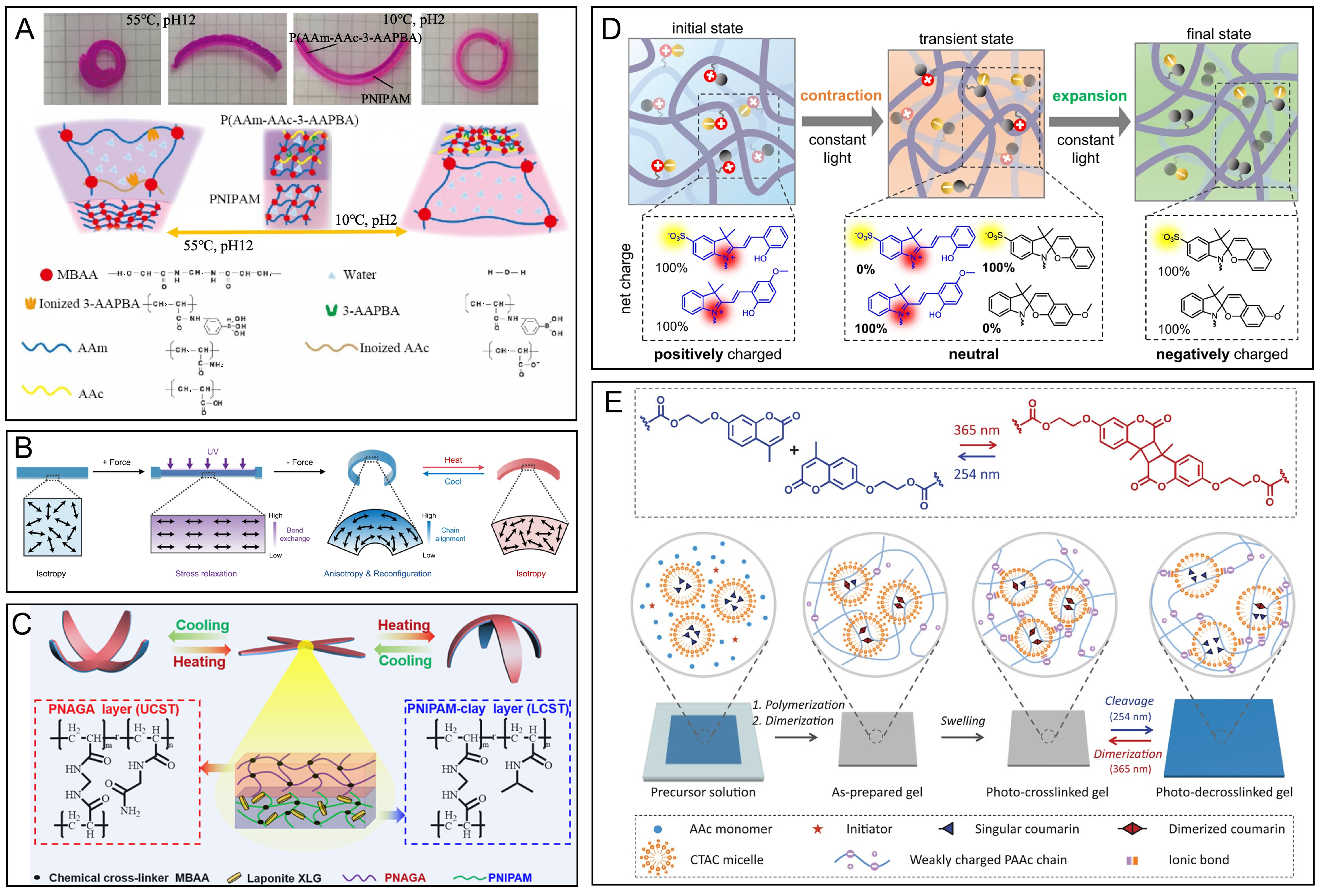 Hydrogel actuators: from building blocks selection, anisotropic structures design to multifunctional applications