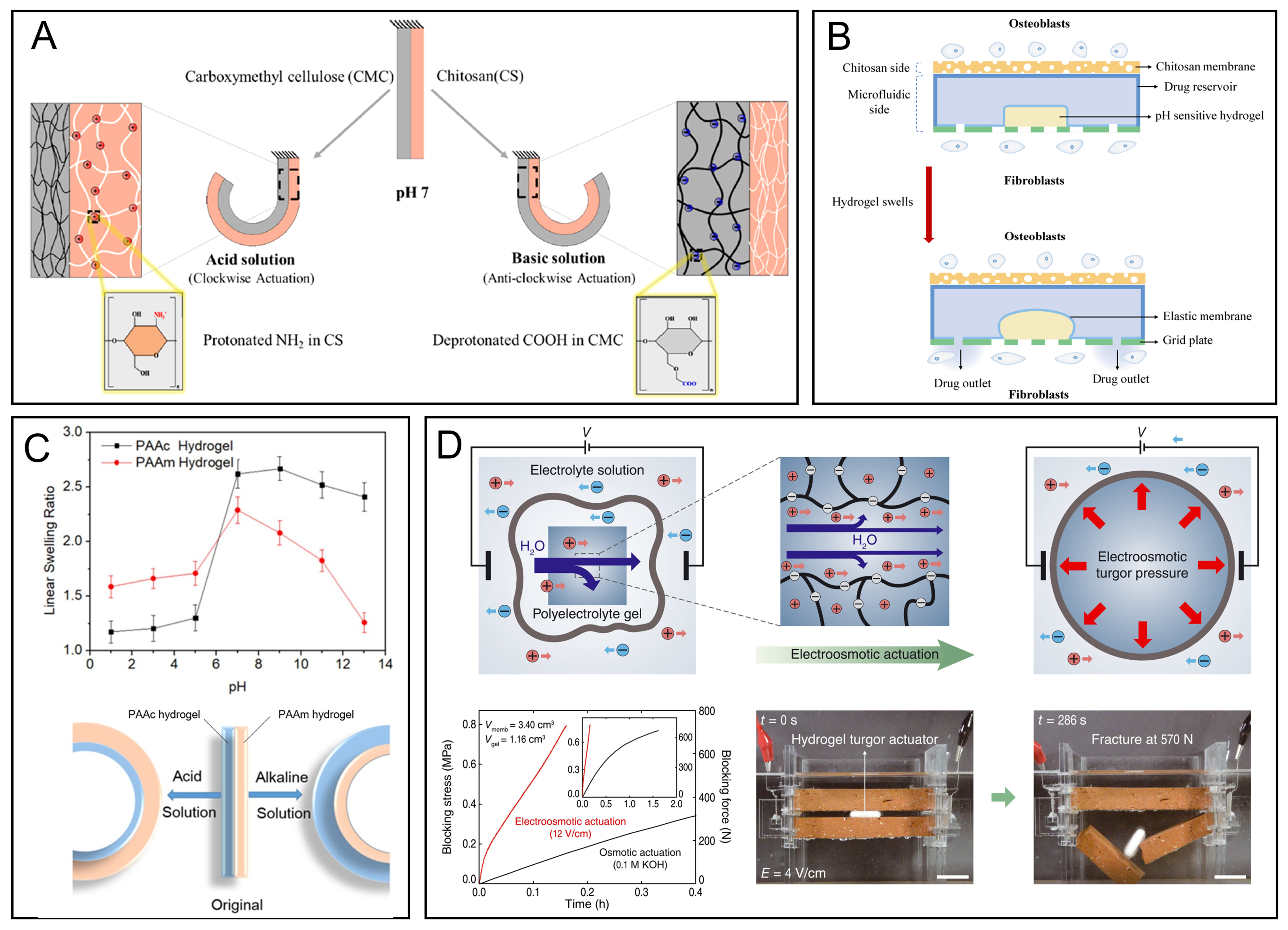 Hydrogel actuators: from building blocks selection, anisotropic structures design to multifunctional applications