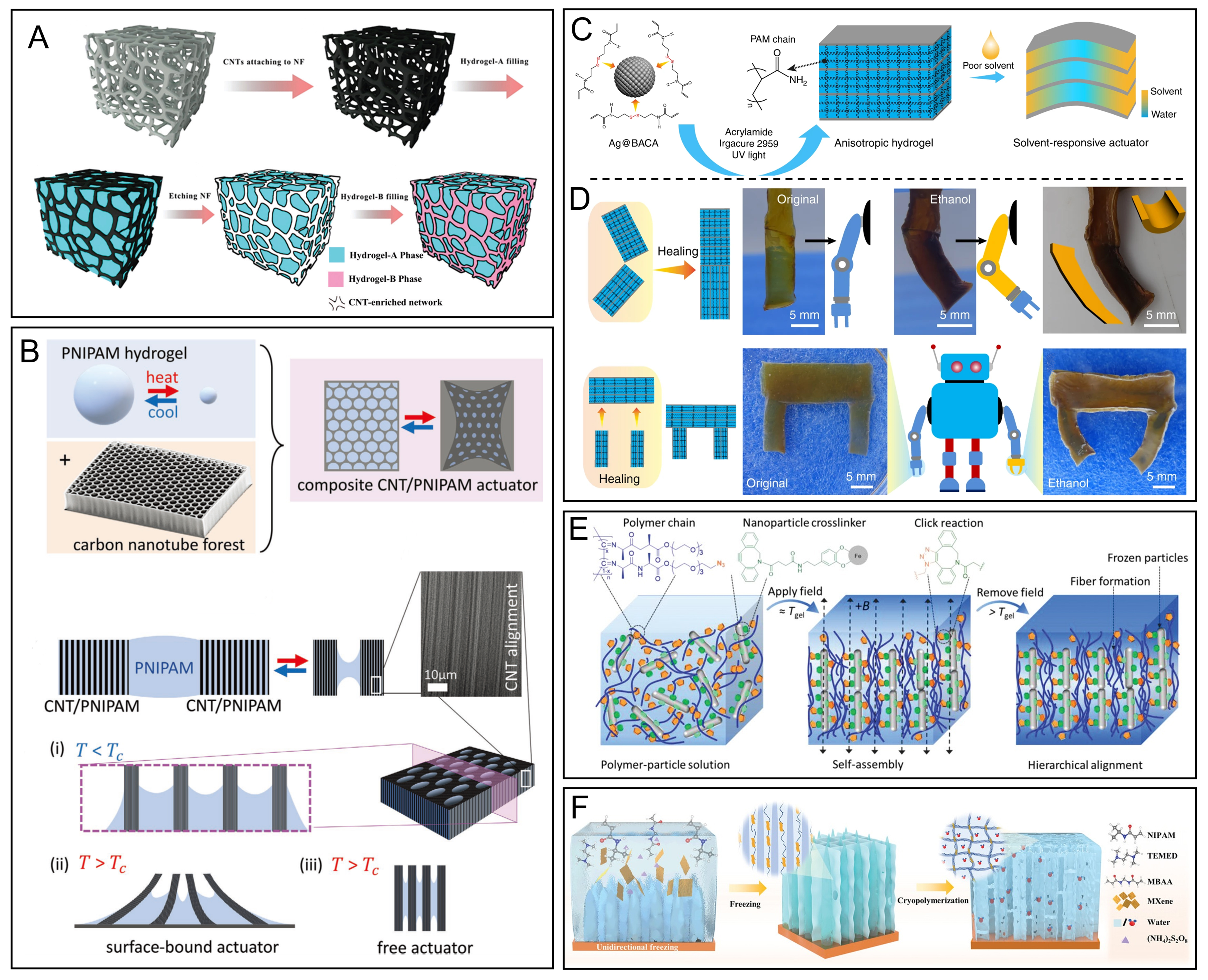 Hydrogel actuators: from building blocks selection, anisotropic structures design to multifunctional applications