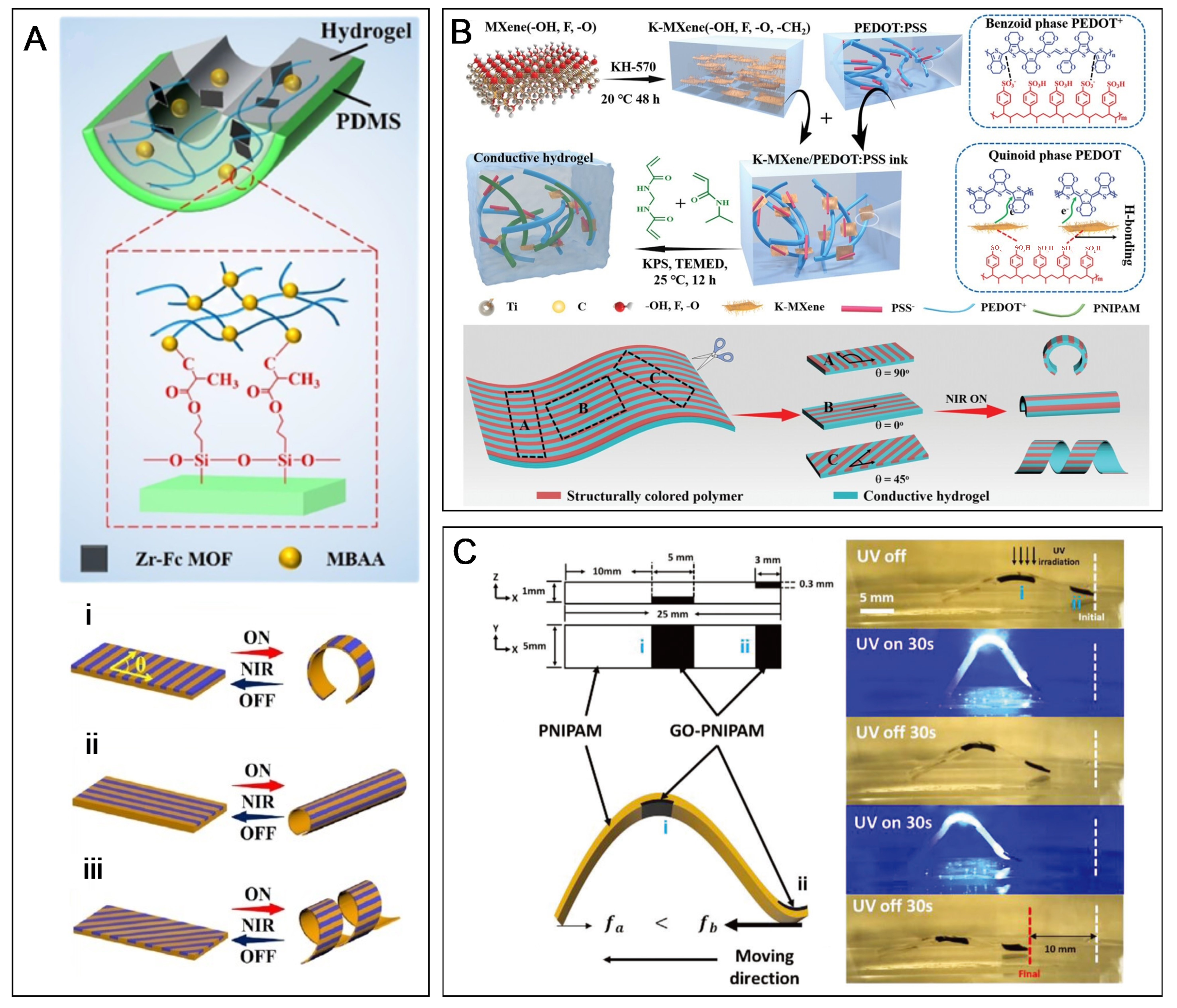 Hydrogel actuators: from building blocks selection, anisotropic structures design to multifunctional applications