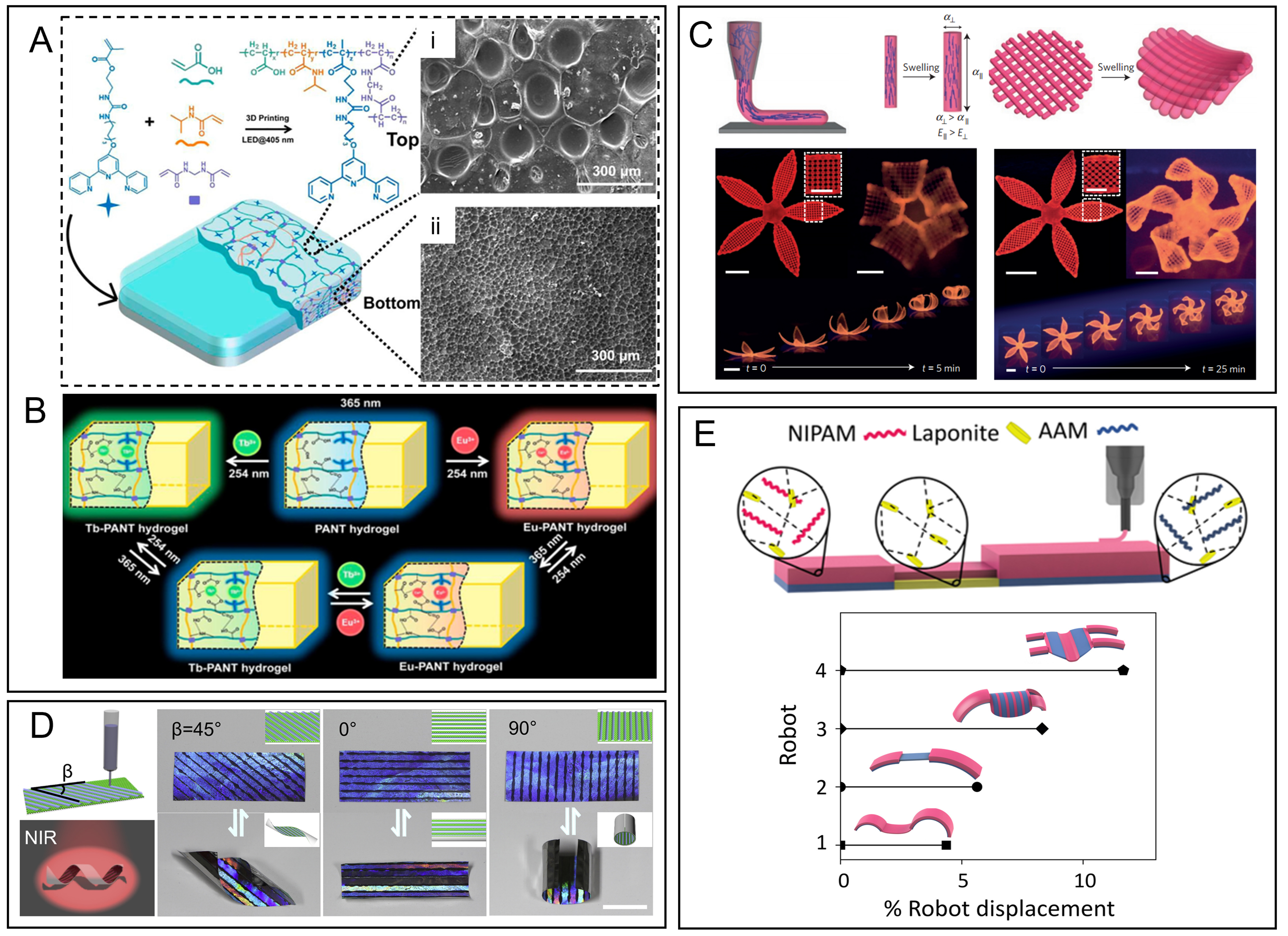 Hydrogel actuators: from building blocks selection, anisotropic structures design to multifunctional applications