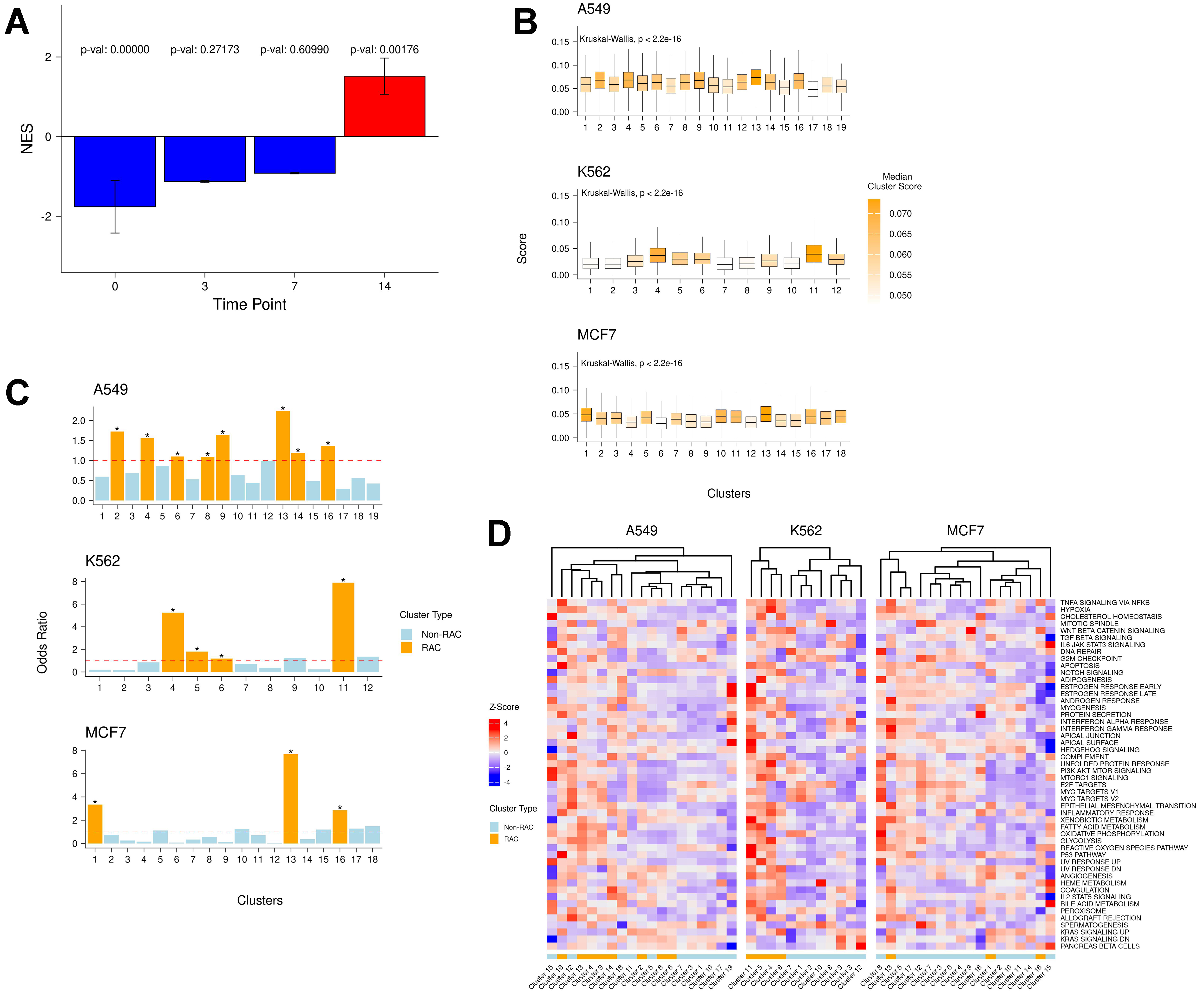 Resistance signatures manifested in early drug response across cancer types and species