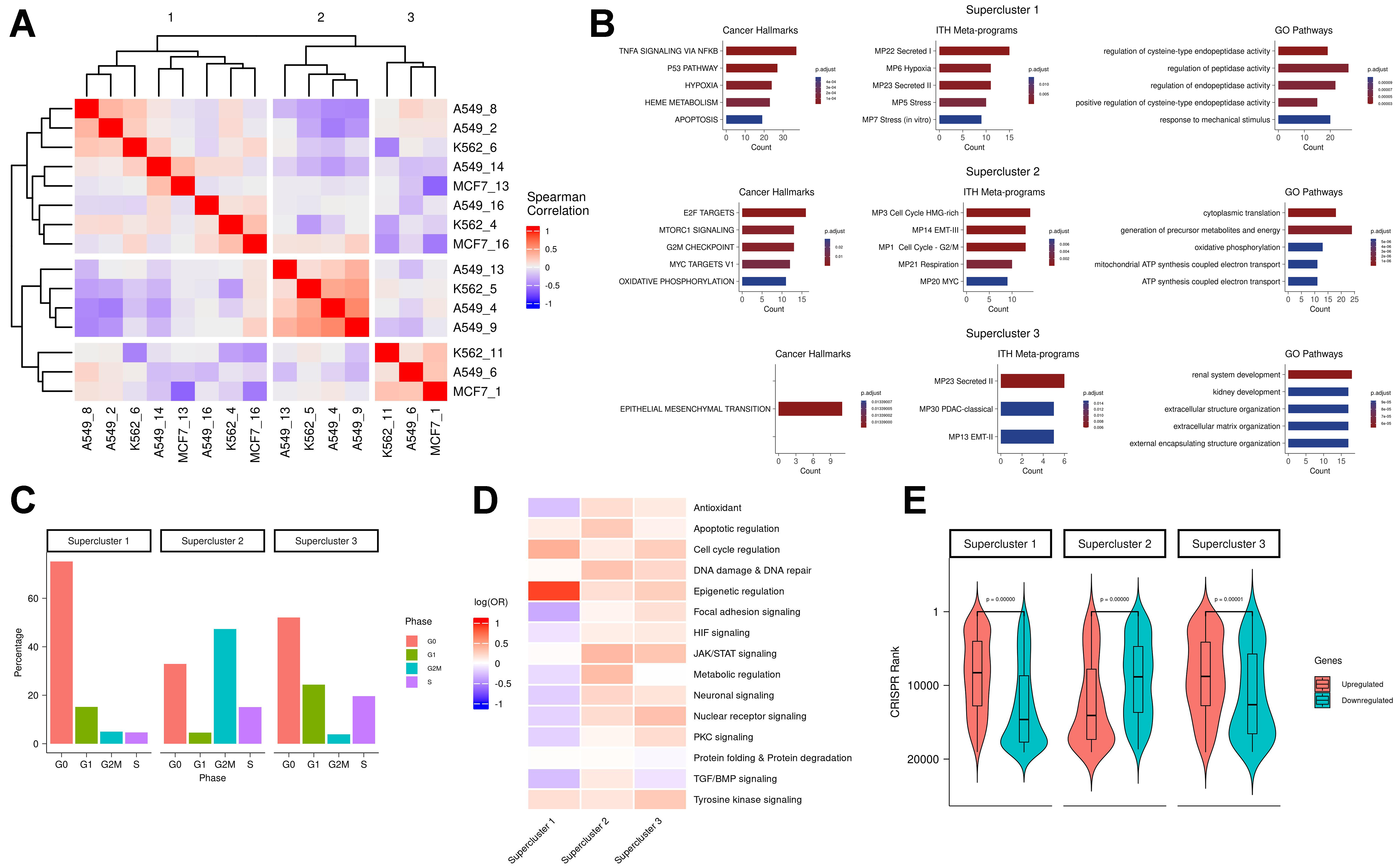 Resistance signatures manifested in early drug response across cancer types and species