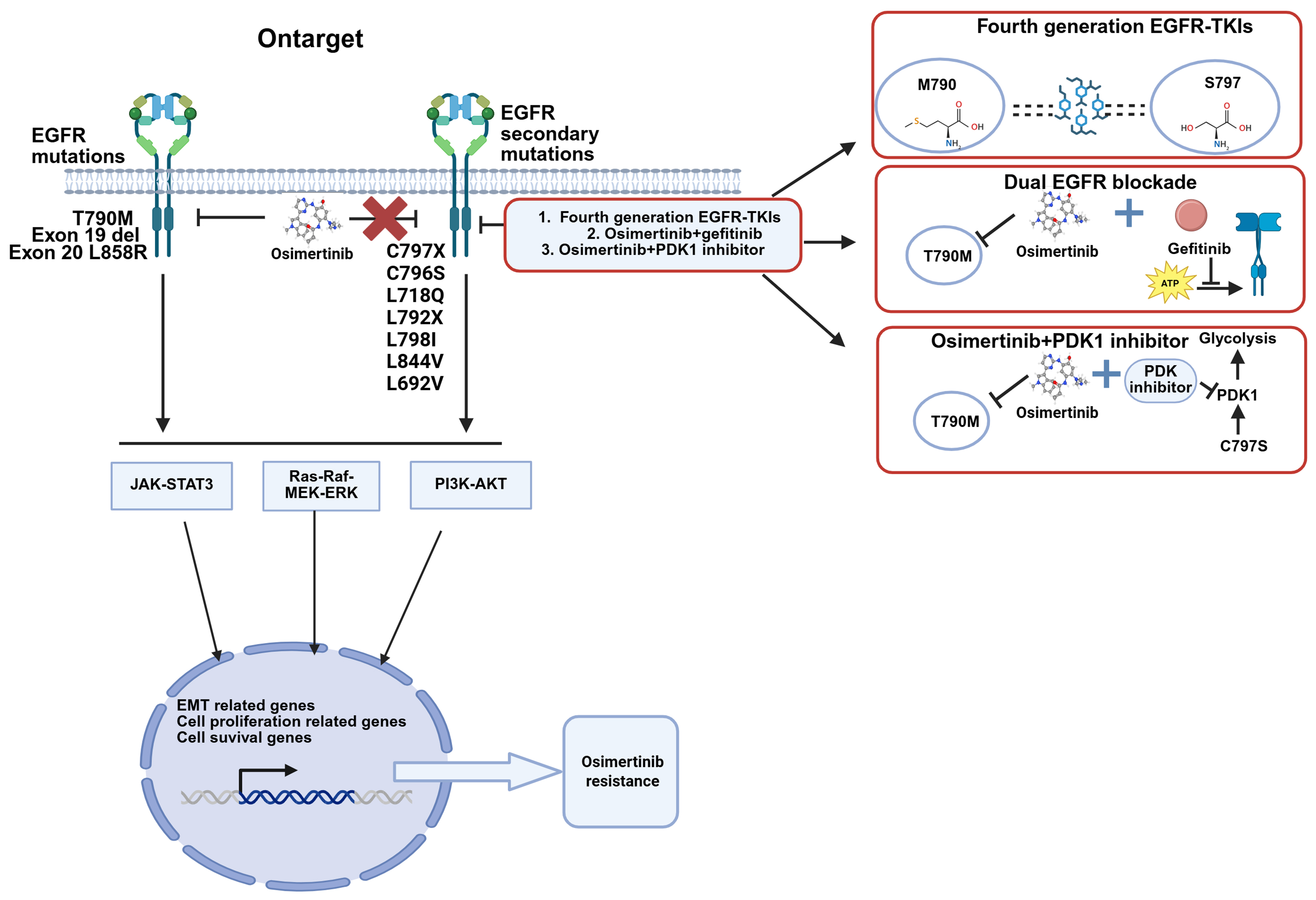 Osimertinib acquired resistance among patients with EGFR-mutated NSCLC: from molecular mechanisms to clinical therapeutic strategies