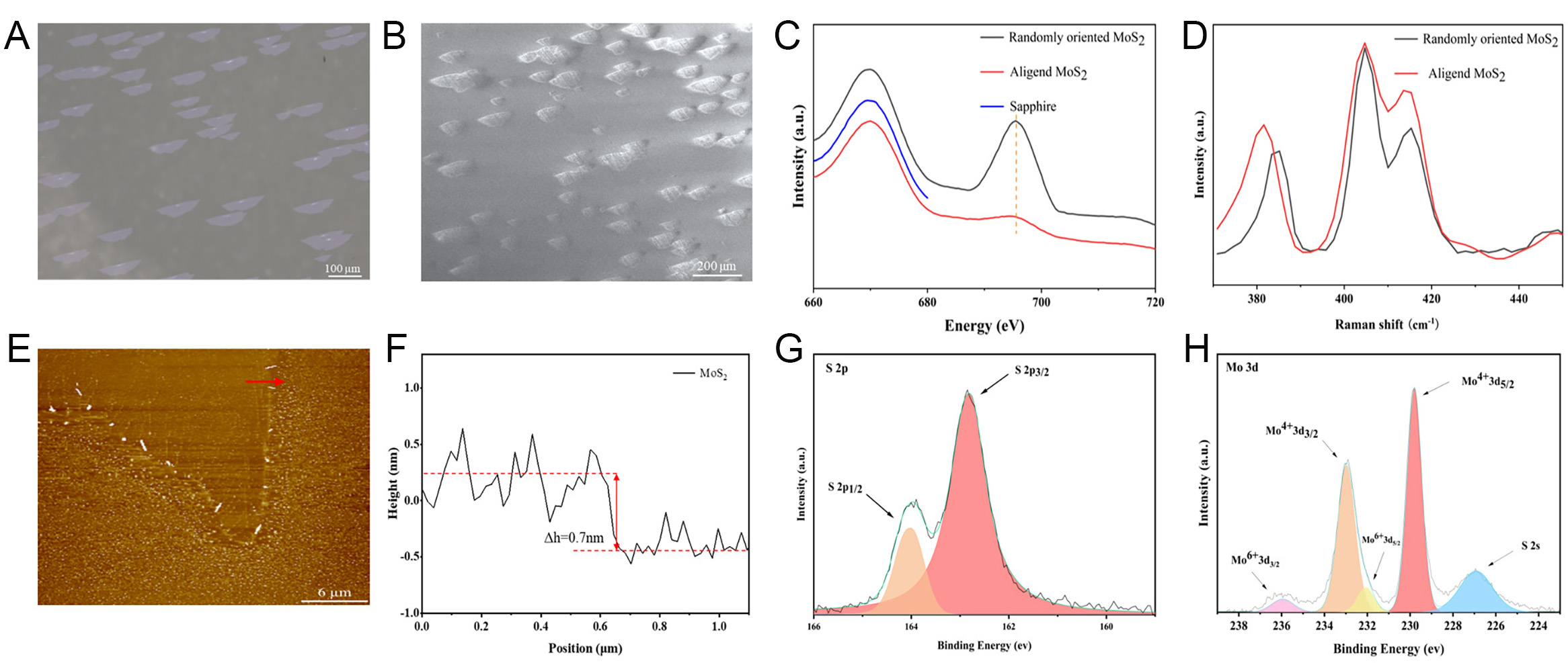 Epitaxial growth of aligned MoS<sub>2</sub> via One-step CVD method for realizing the ultrasonic field-driven direct current nanogenerators