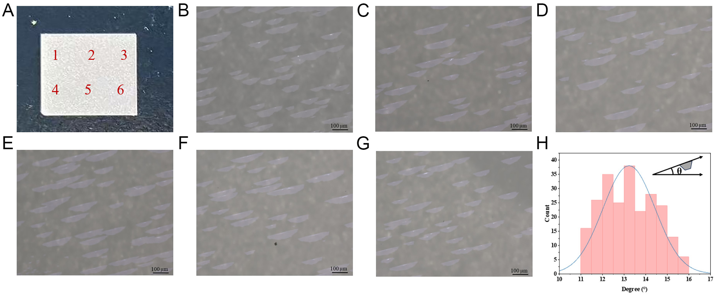 Epitaxial growth of aligned MoS<sub>2</sub> via One-step CVD method for realizing the ultrasonic field-driven direct current nanogenerators