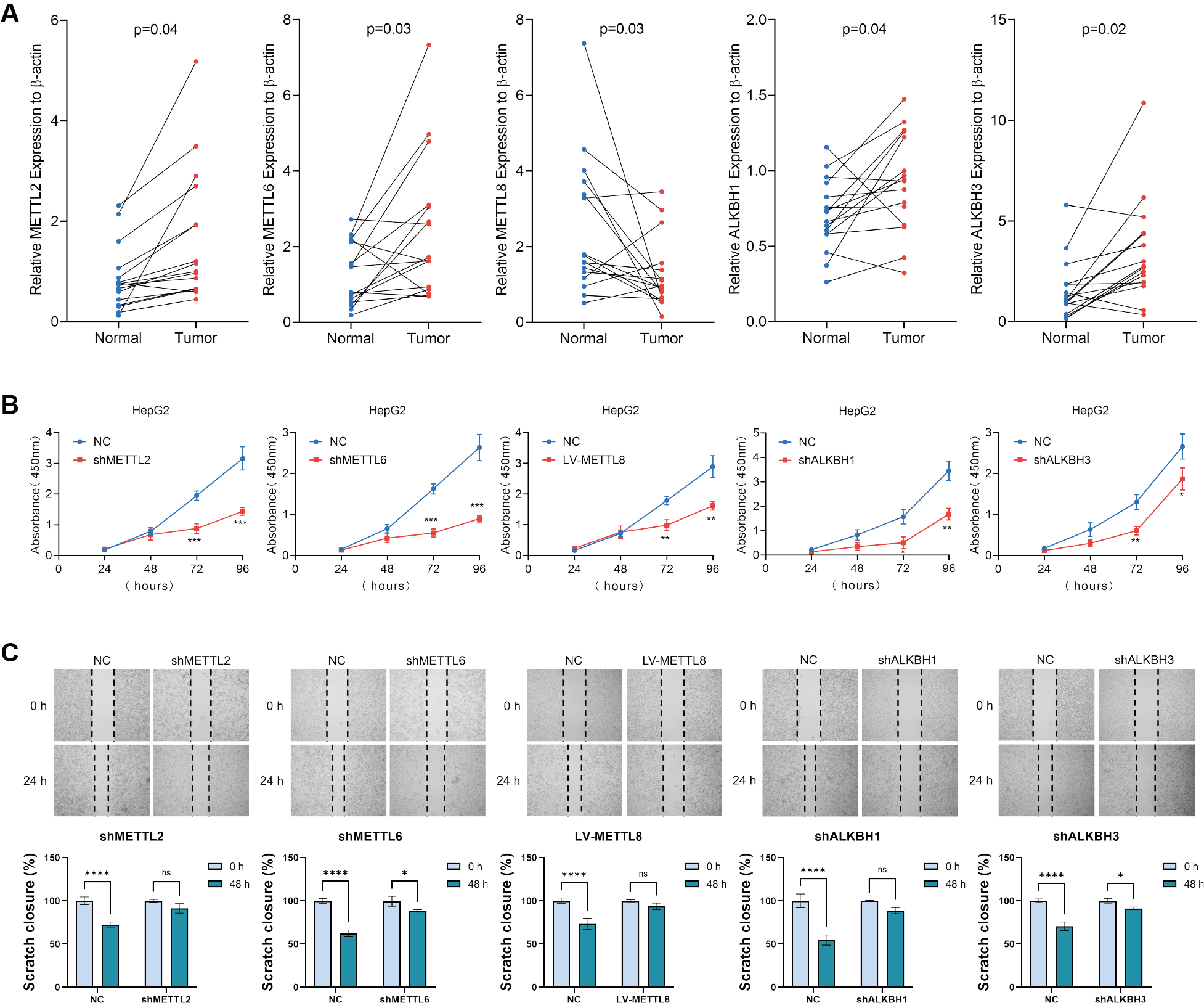 Bioinformatics analysis and experimental validation of m<sup>3</sup>C RNA methylation regulators in hepatocellular carcinoma: expression, function, and prognostic value
