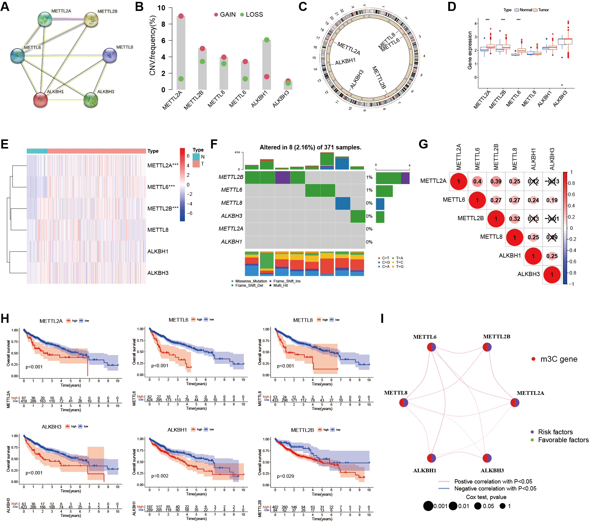 Bioinformatics analysis and experimental validation of m<sup>3</sup>C RNA methylation regulators in hepatocellular carcinoma: expression, function, and prognostic value