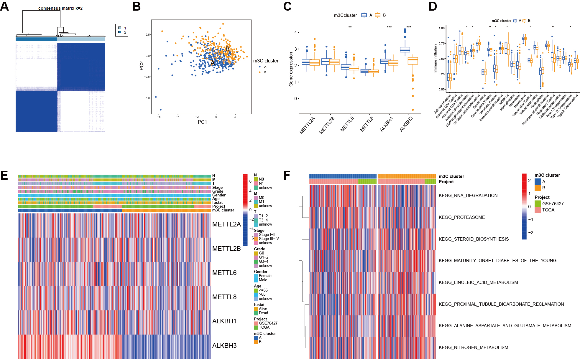 Bioinformatics analysis and experimental validation of m<sup>3</sup>C RNA methylation regulators in hepatocellular carcinoma: expression, function, and prognostic value