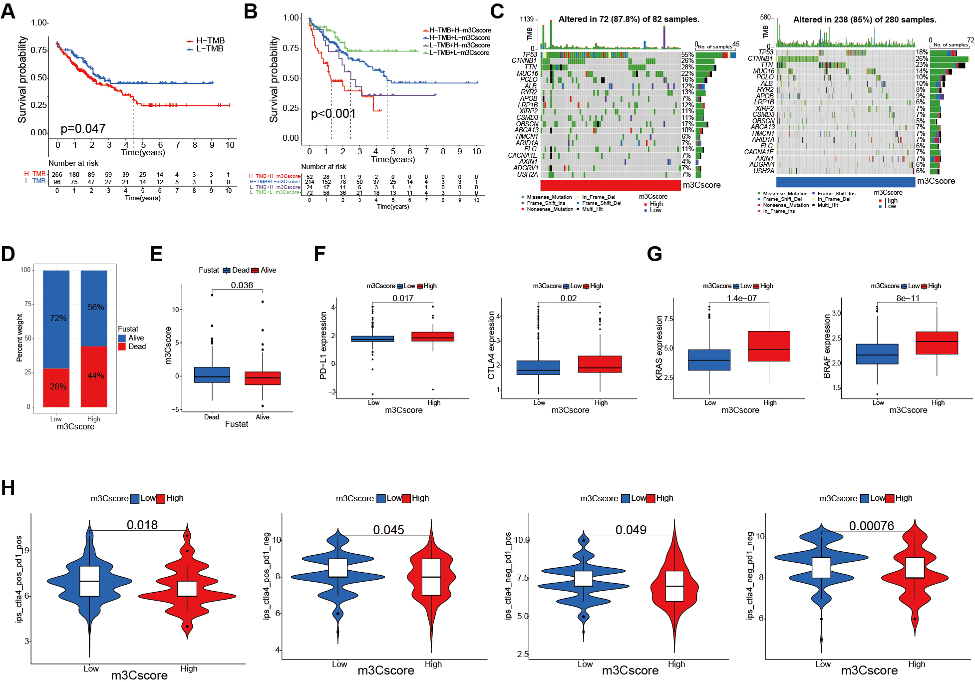 Bioinformatics analysis and experimental validation of m<sup>3</sup>C RNA methylation regulators in hepatocellular carcinoma: expression, function, and prognostic value