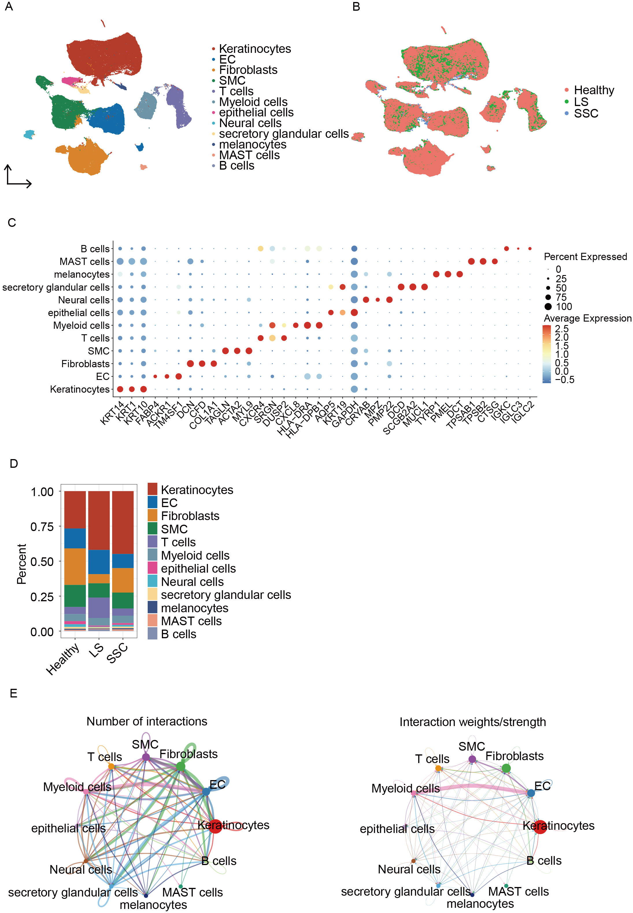 Endothelial cell heterogeneity and immune-metabolic crosstalk in scleroderma: insights from single-cell RNA sequencing