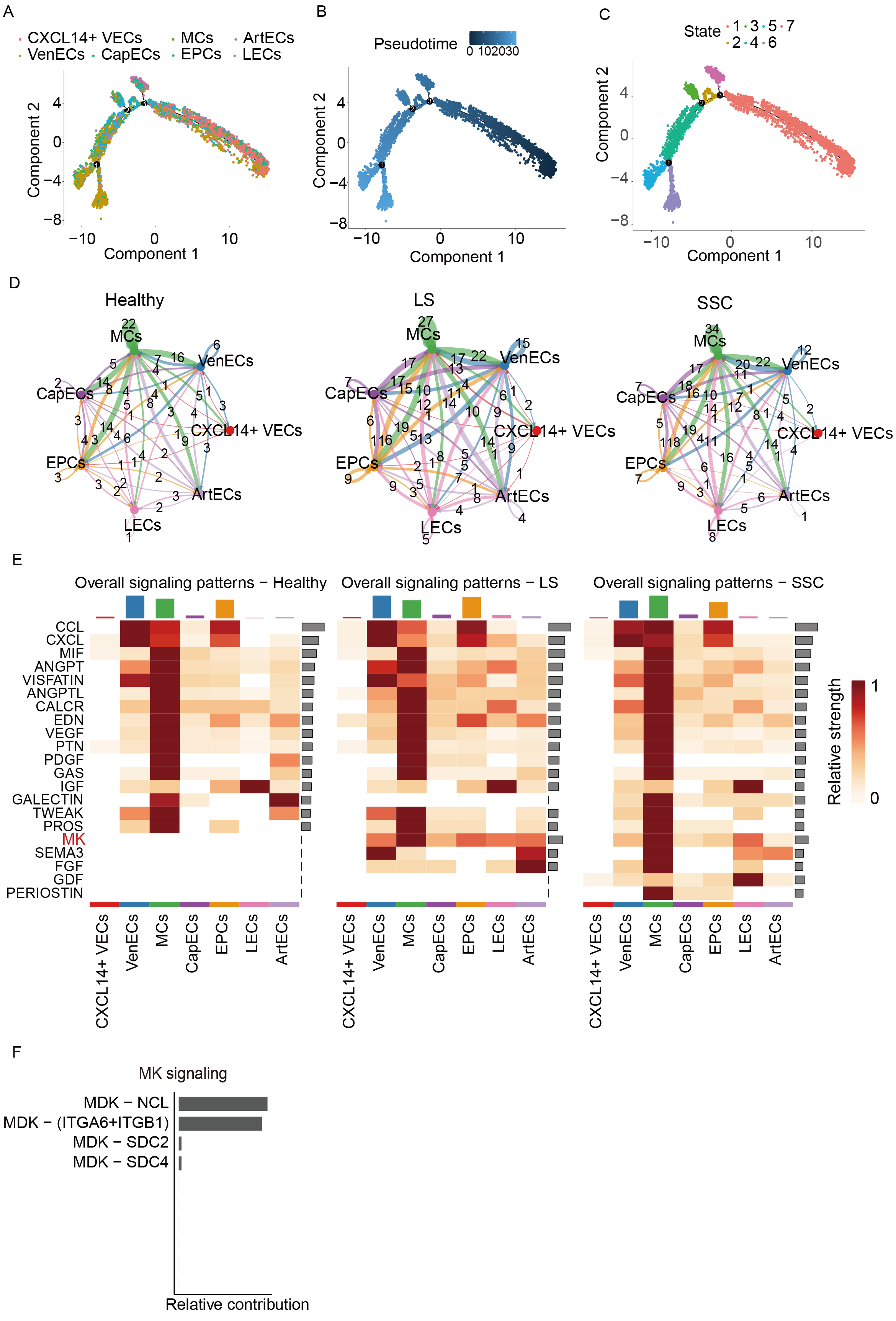 Endothelial cell heterogeneity and immune-metabolic crosstalk in scleroderma: insights from single-cell RNA sequencing