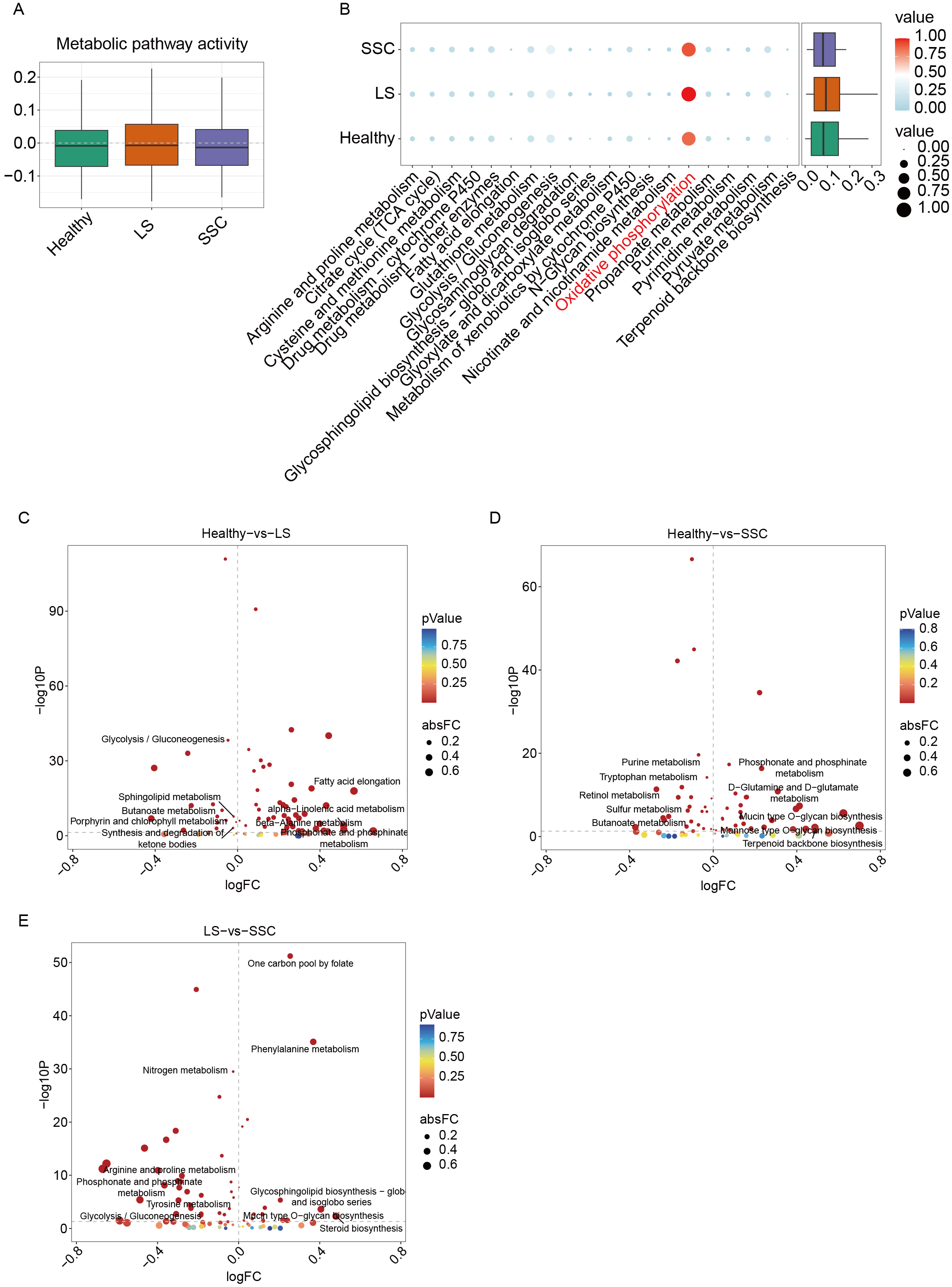 Endothelial cell heterogeneity and immune-metabolic crosstalk in scleroderma: insights from single-cell RNA sequencing