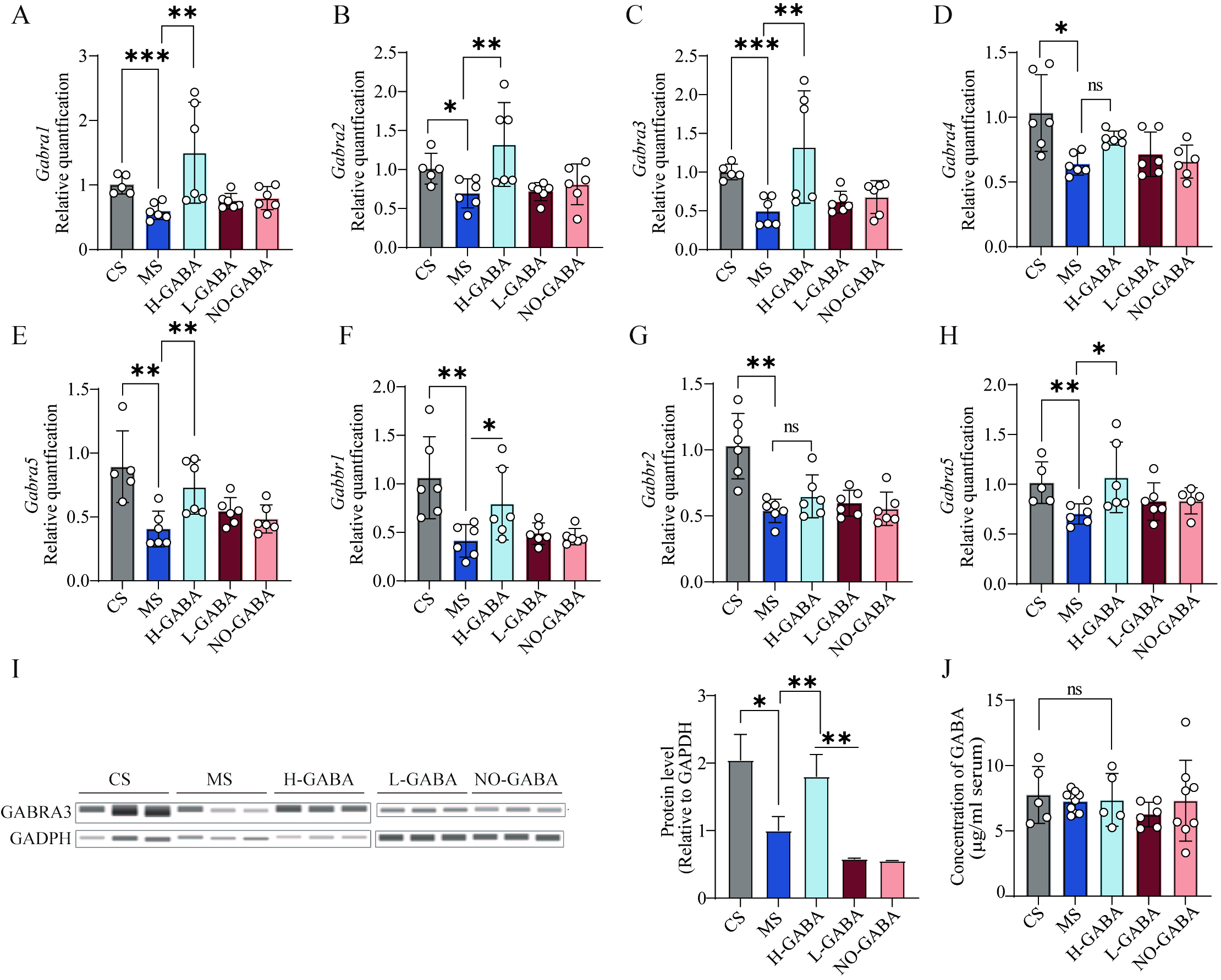 GABA-producing <i>Lactococcus lactis</i> alleviates gut dysfunction and neurobehavioral abnormalities associated with irritable bowel syndrome
