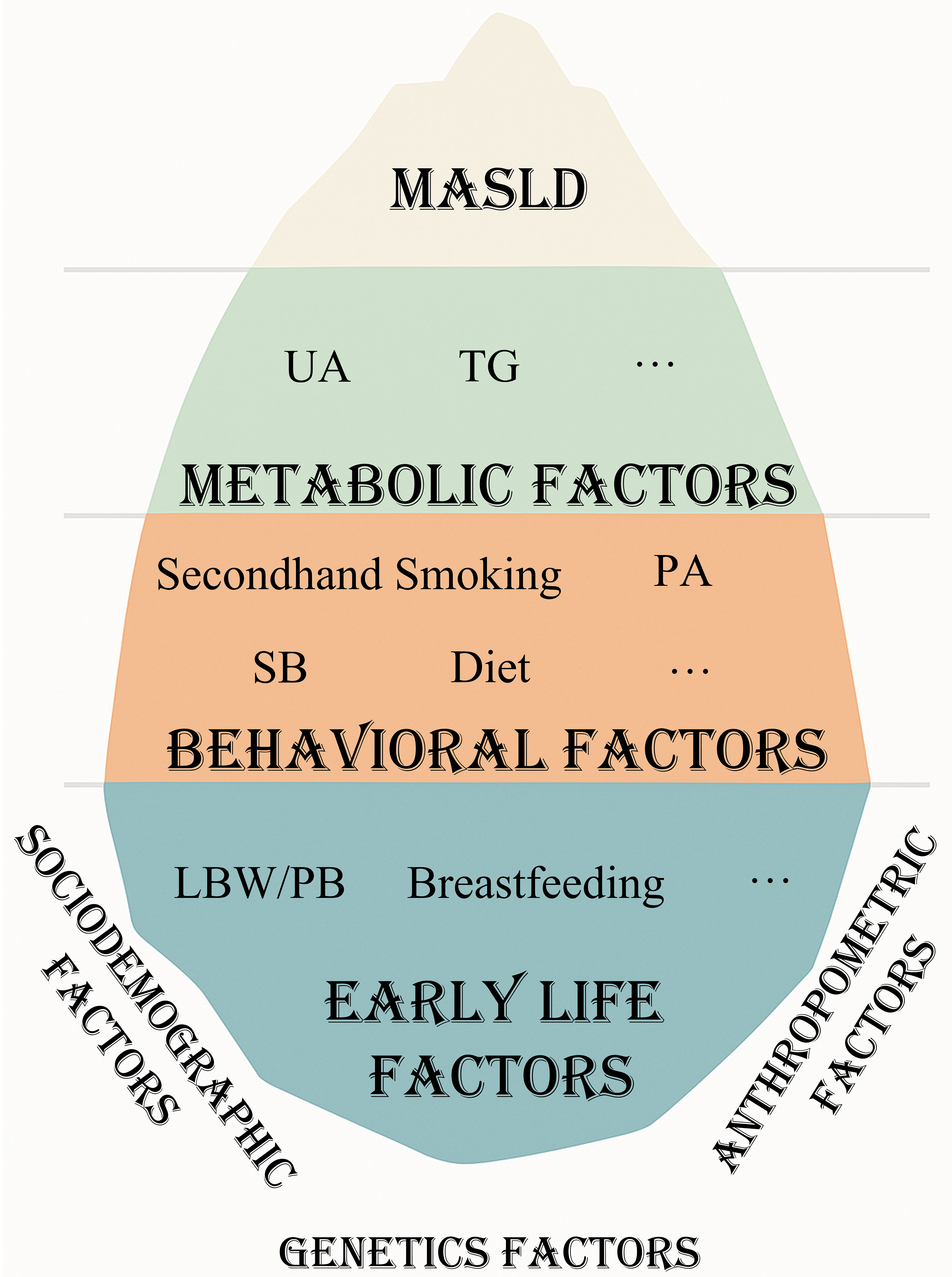 Cumulative metabolic, behavioral, and early-life factors for MASLD in Chinese children with validation in U.S. adolescents