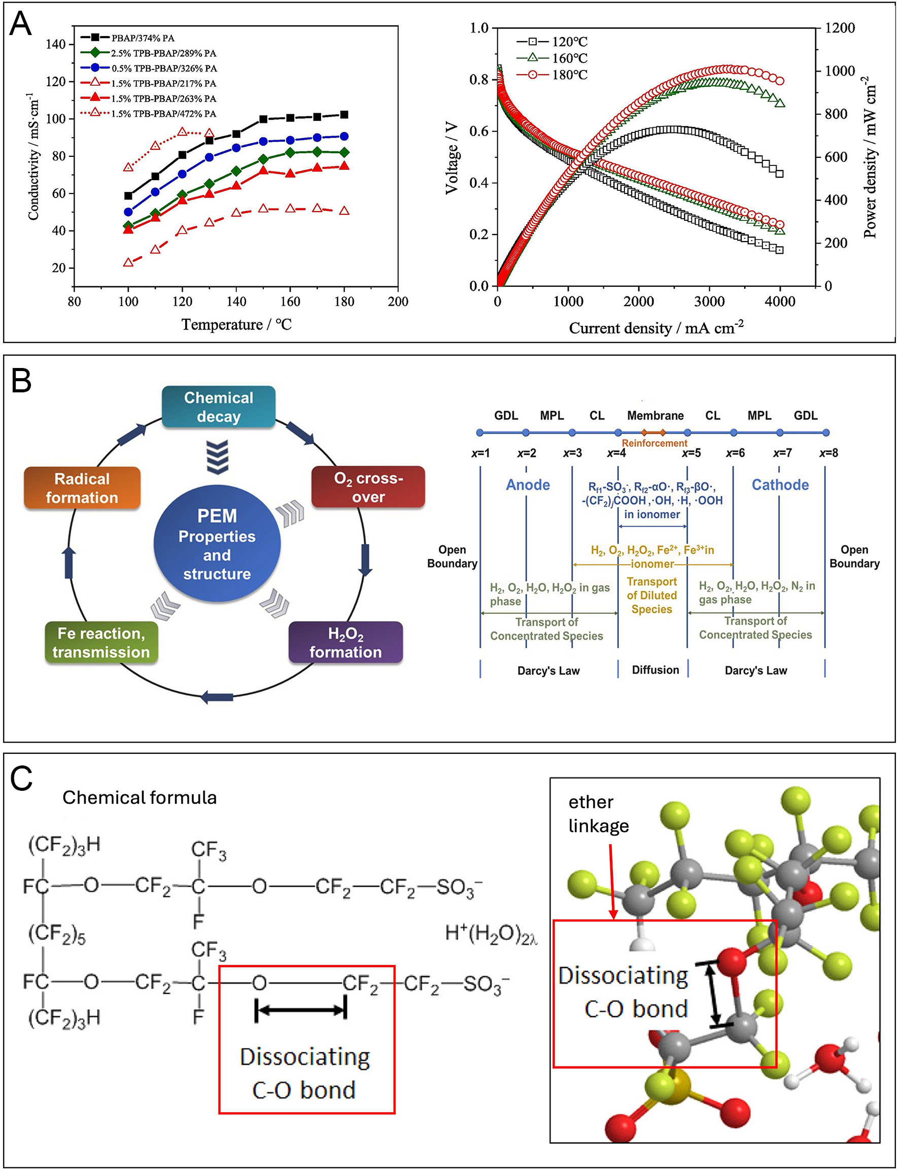 Advanced proton exchange membranes for high-efficiency fuel cells: material innovations and durability optimization