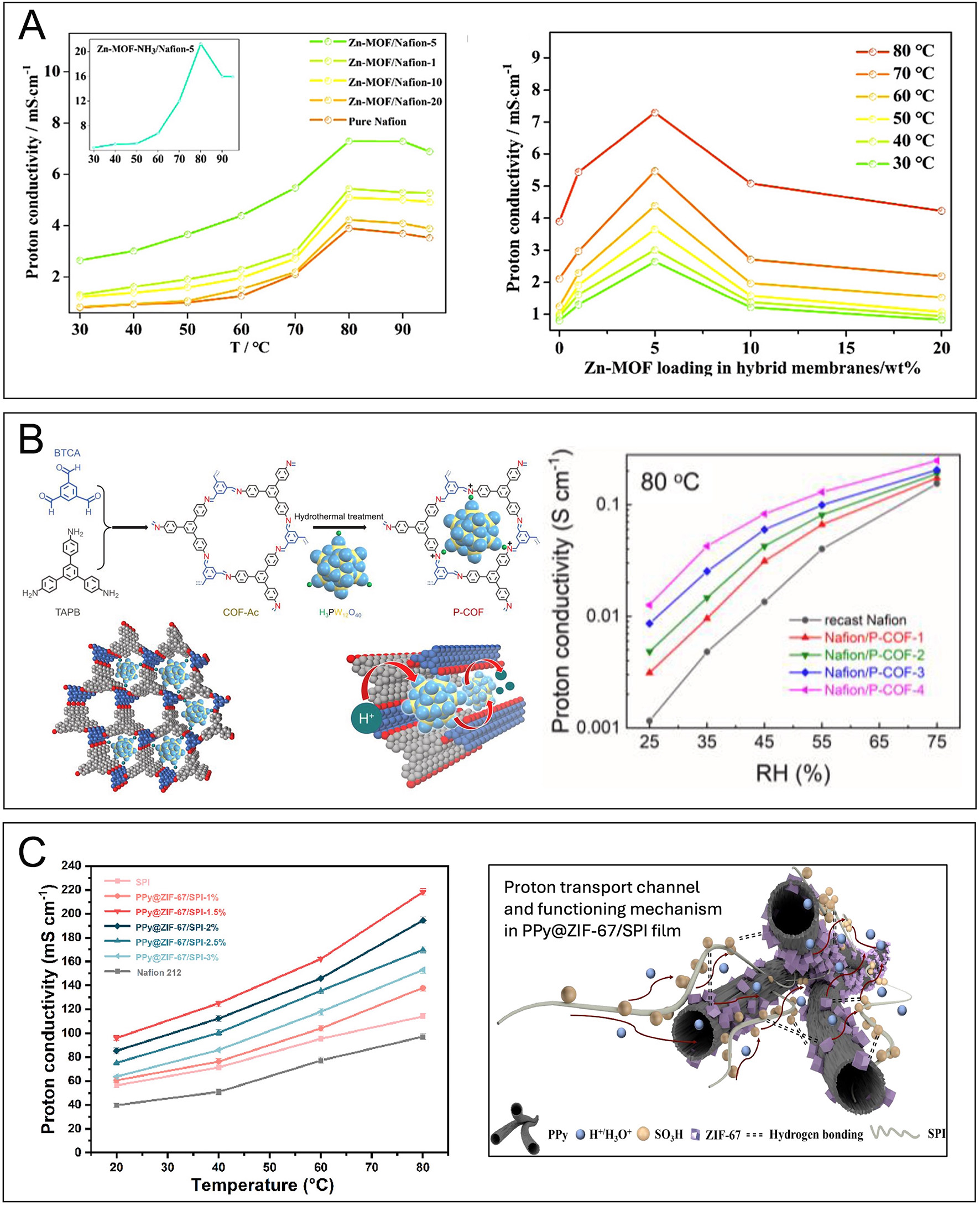 Advanced proton exchange membranes for high-efficiency fuel cells: material innovations and durability optimization