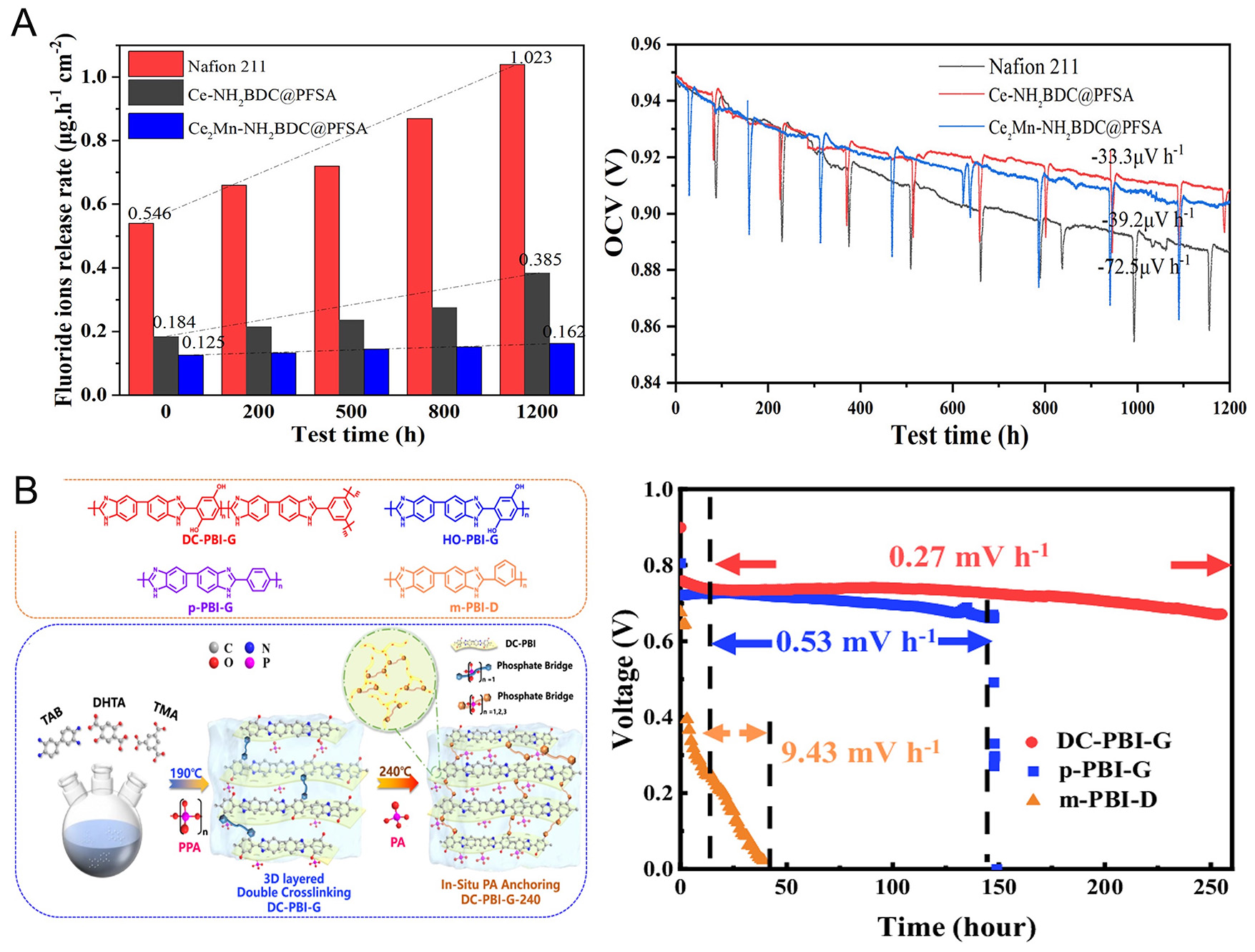 Advanced proton exchange membranes for high-efficiency fuel cells: material innovations and durability optimization