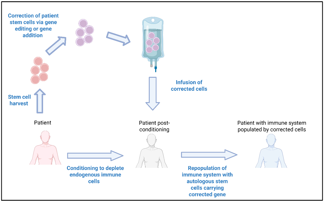 Gene therapy for inborn errors of immunity: past progress, current status and future directions