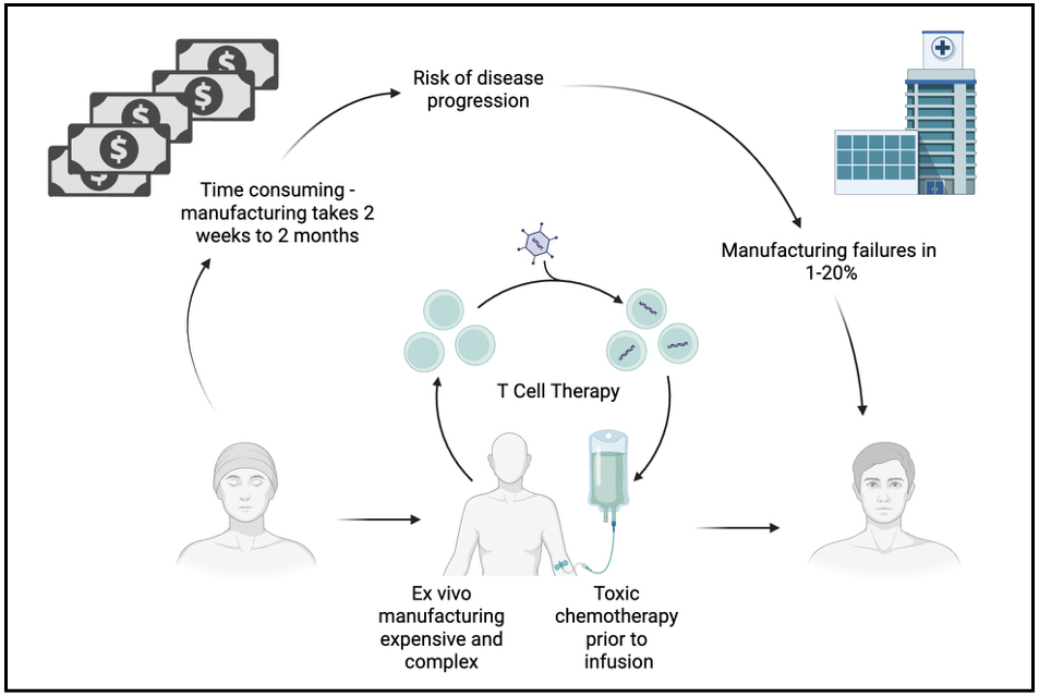 Gene therapy for inborn errors of immunity: past progress, current status and future directions