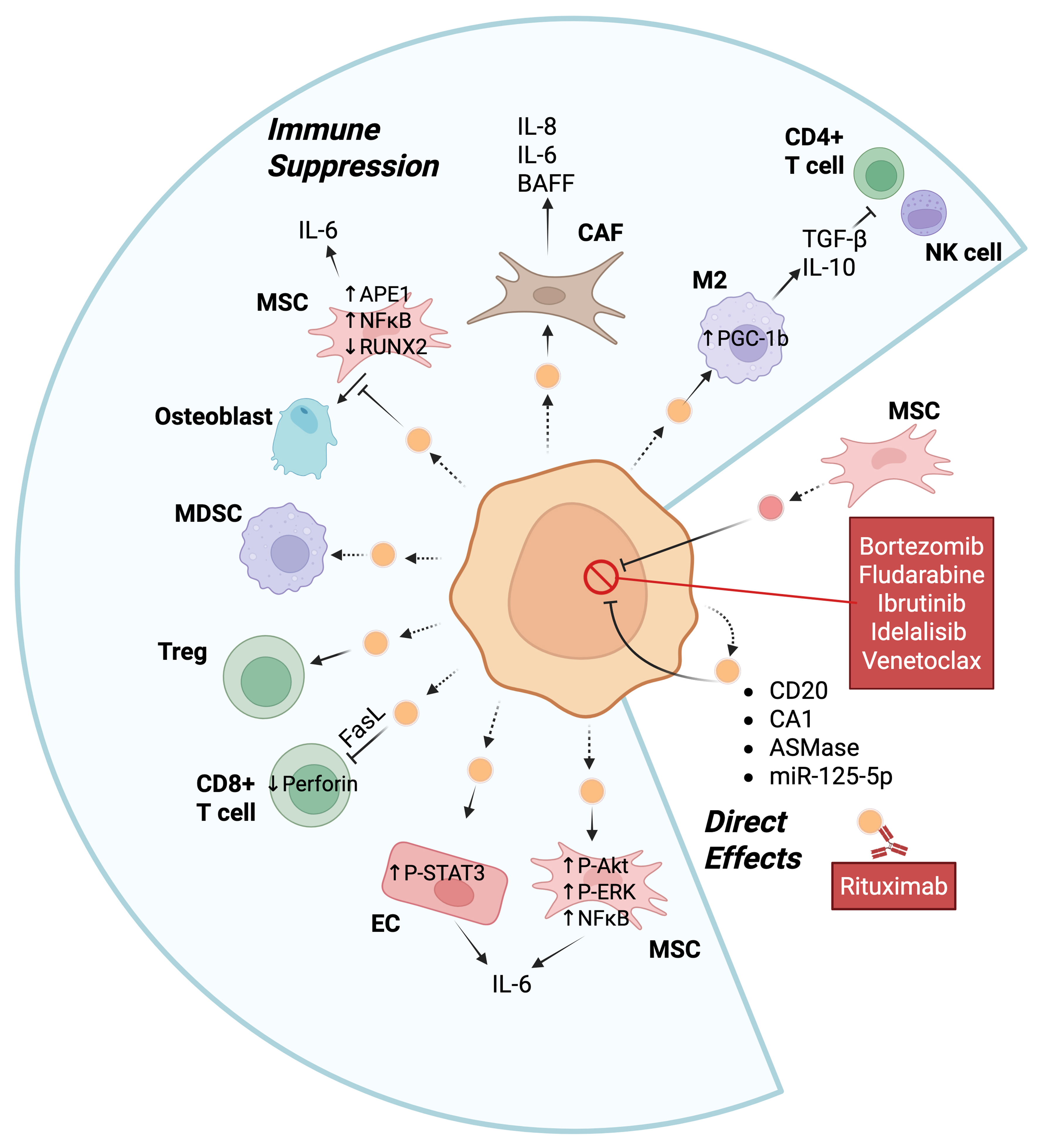Extracellular vesicles in malignant and normal B lymphocyte growth and development