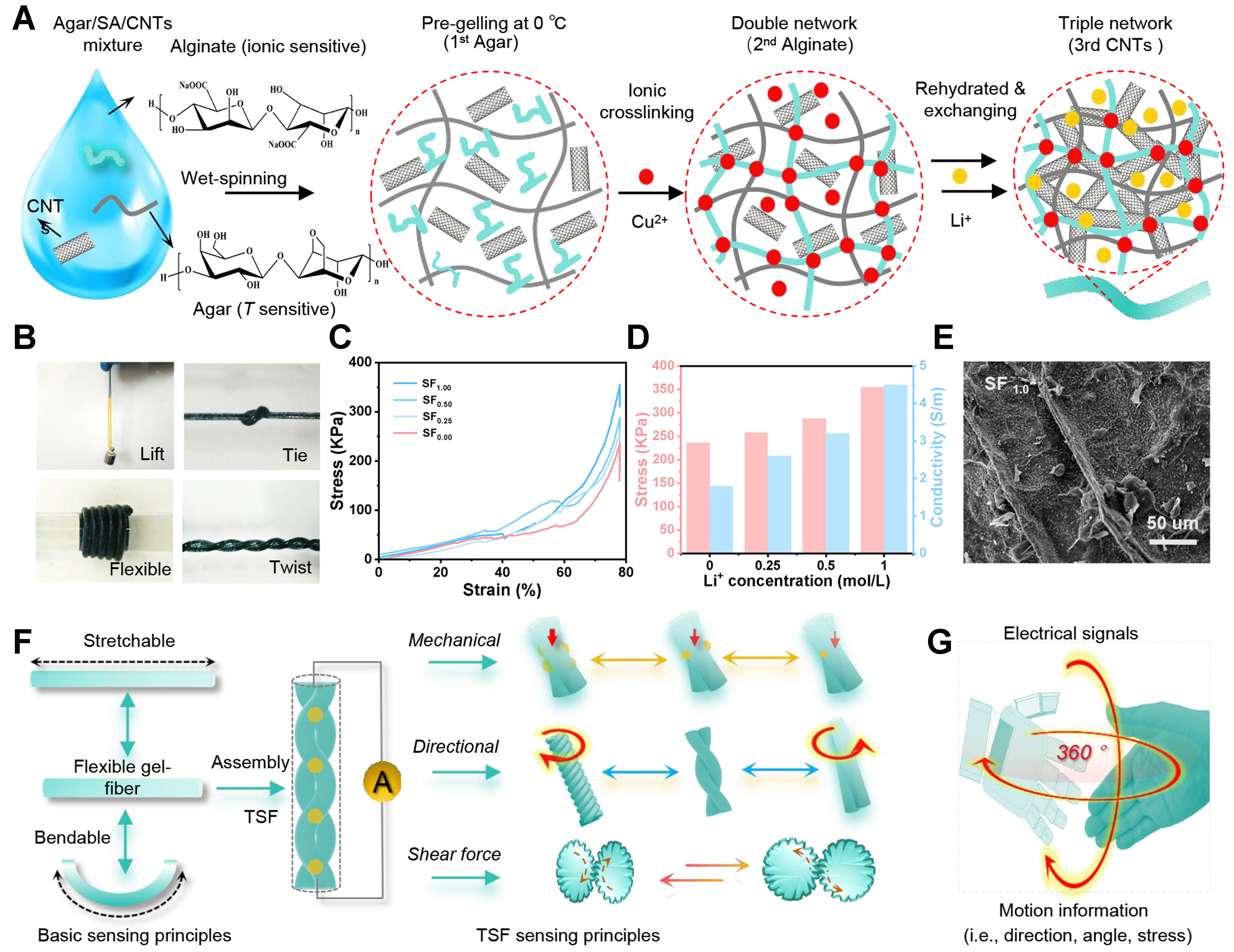 Helical ionotropic gel-fiber sensor with omnidirectional strain perception for multidimensional motion correction in adolescent activity assessment
