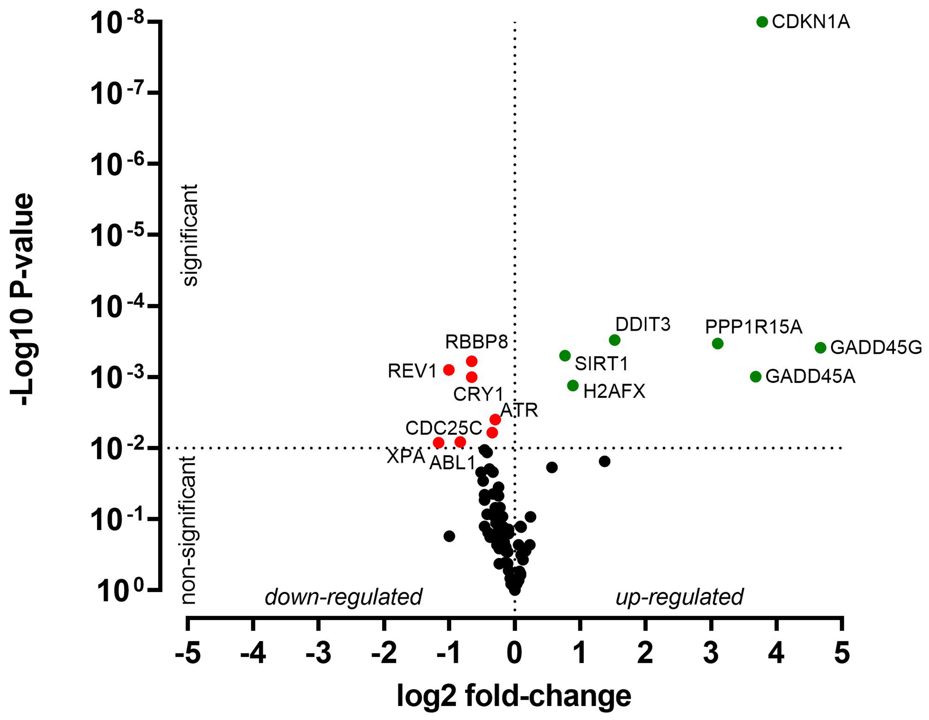 Cisplatin resistance in head and neck squamous cell carcinoma is linked to DNA damage response and cell cycle arrest transcriptomics rather than poor drug uptake